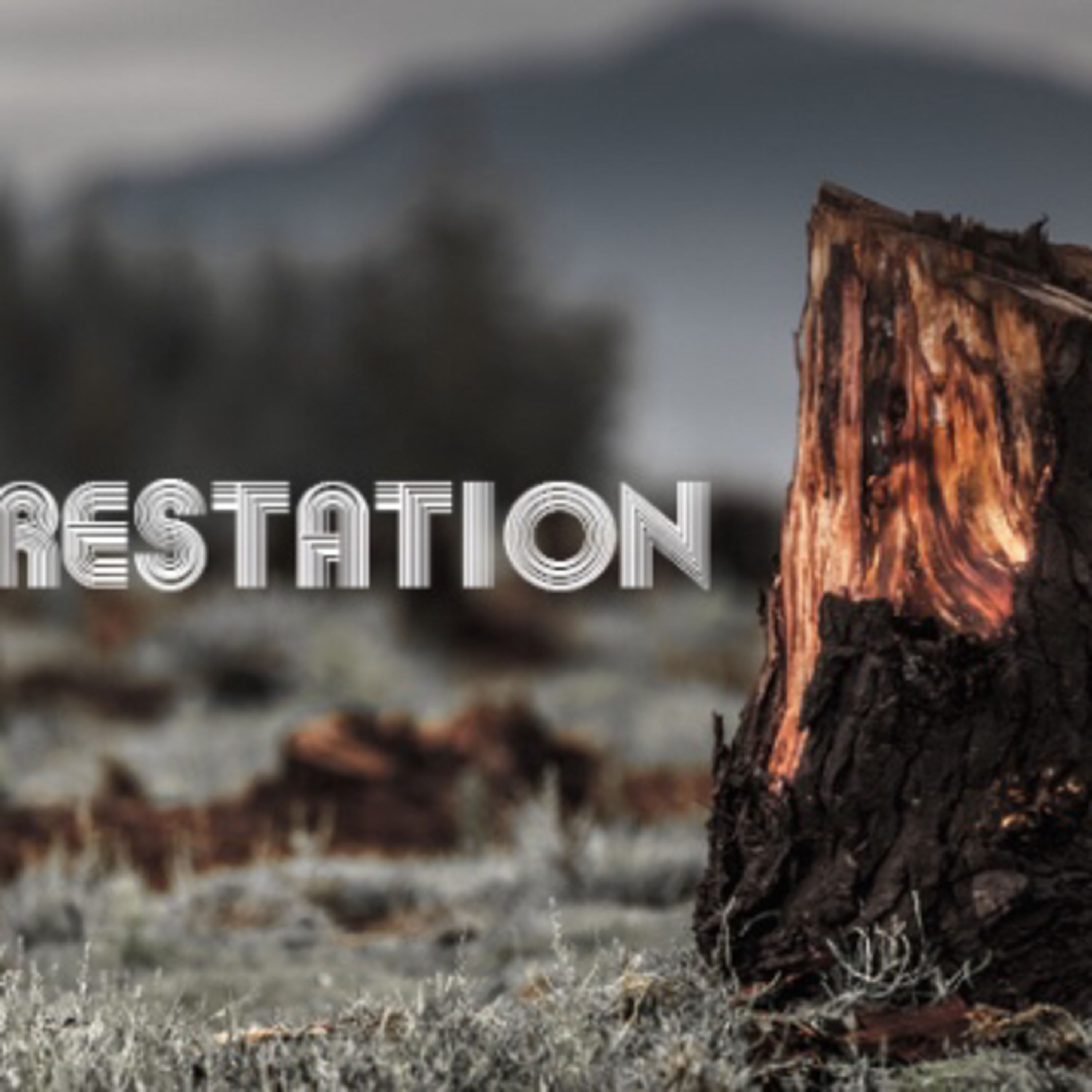 APES project about deforestation and the blackfoot challenge
