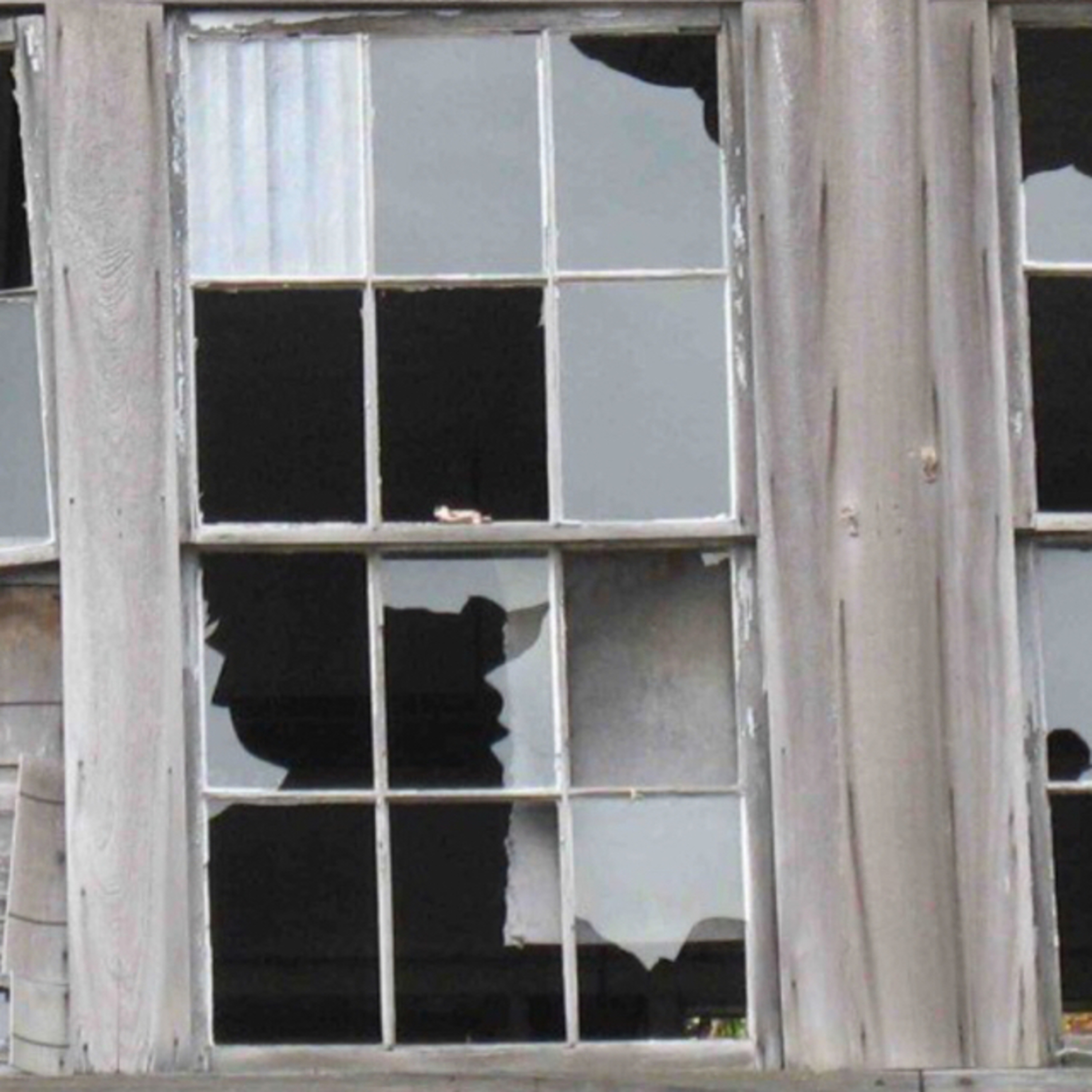 The Broken Window Theory