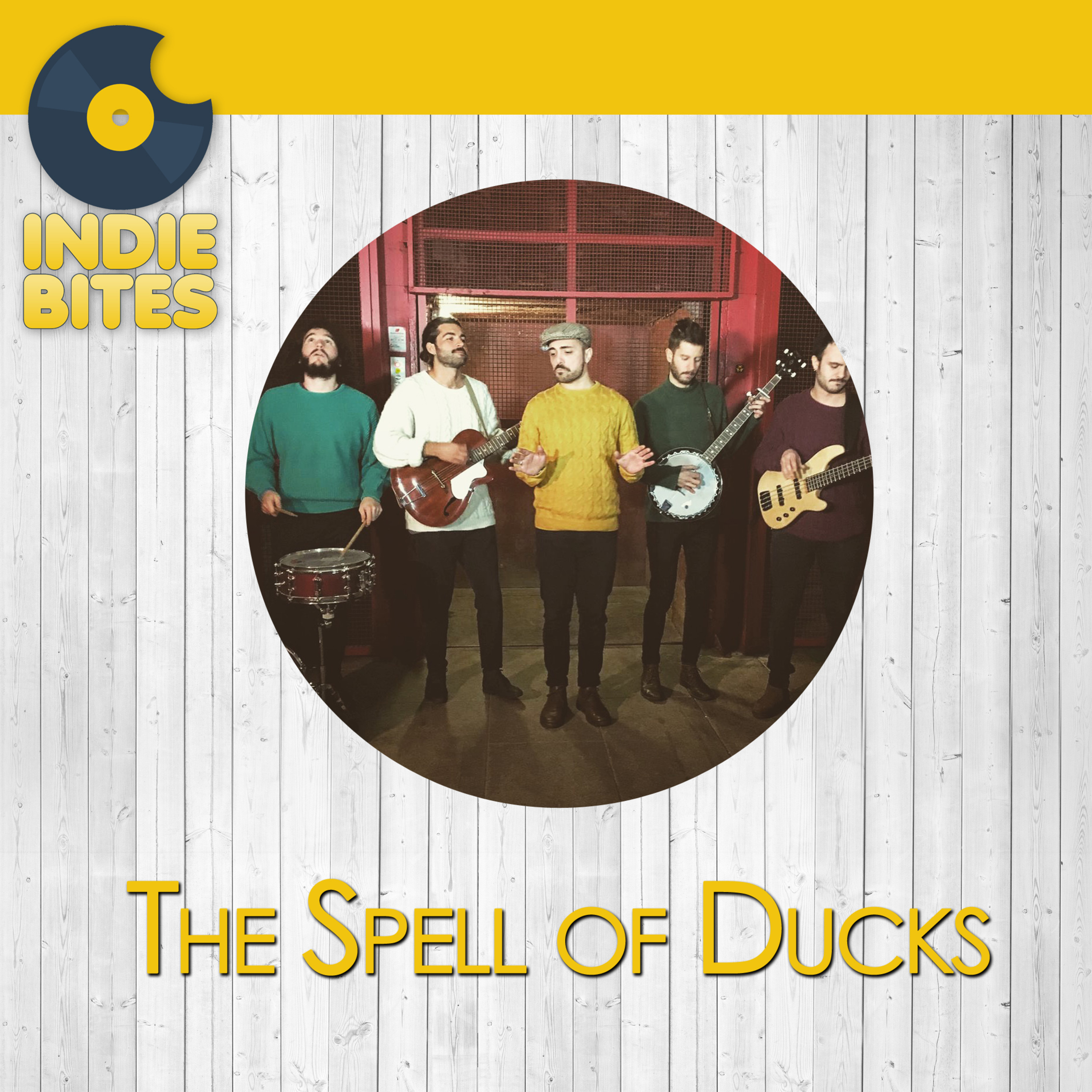 The Spell of Ducks