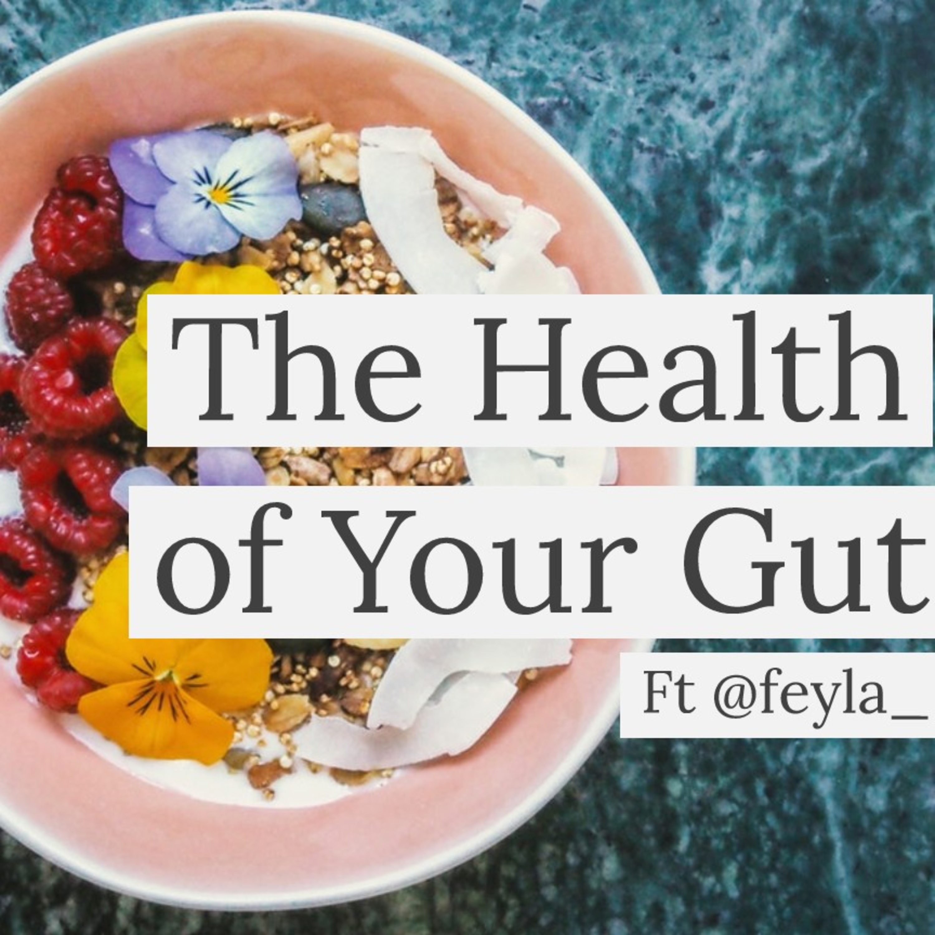 The Health of Your Gut