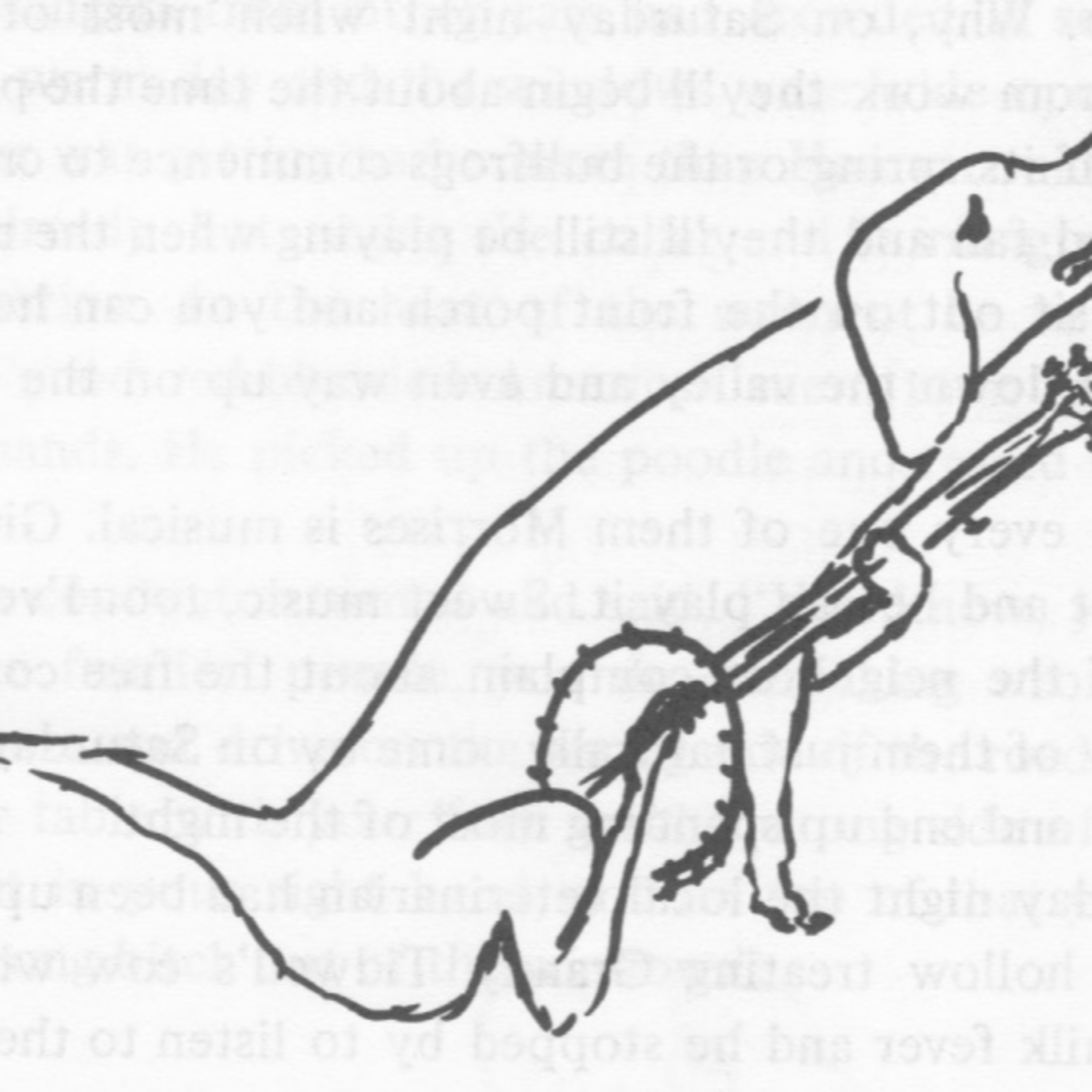 50. Banjo Dog