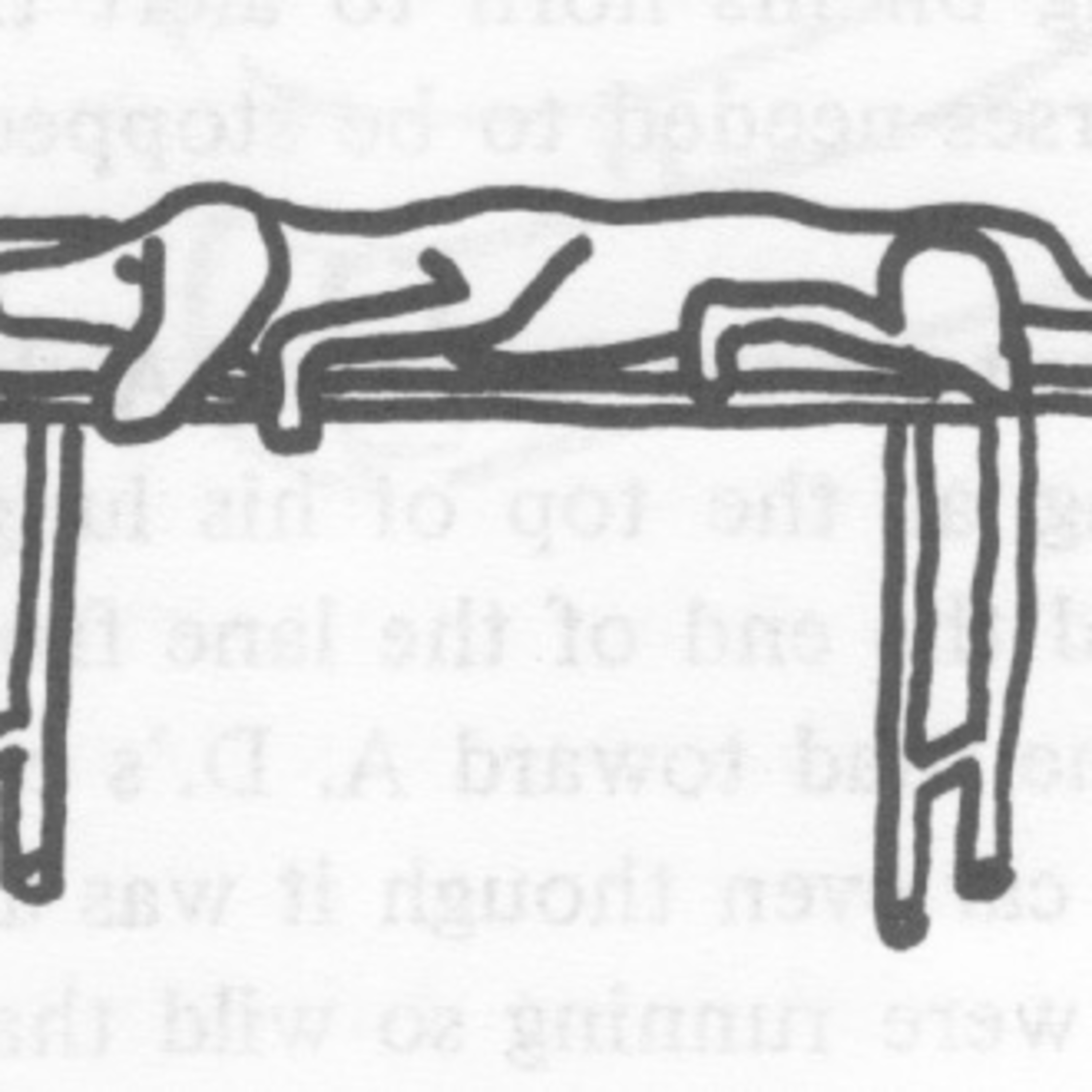 53. The Dead Dog