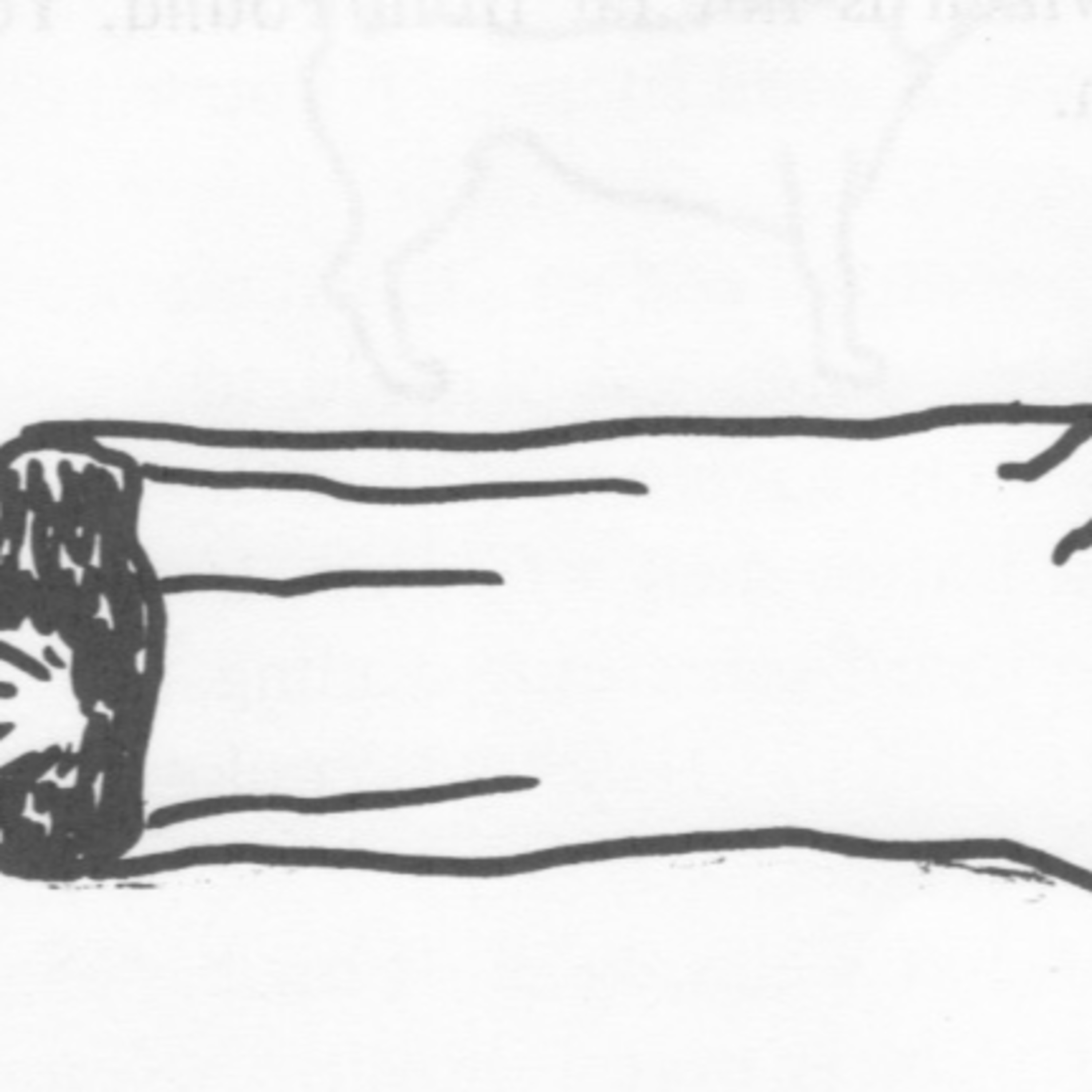 56. Tailipo