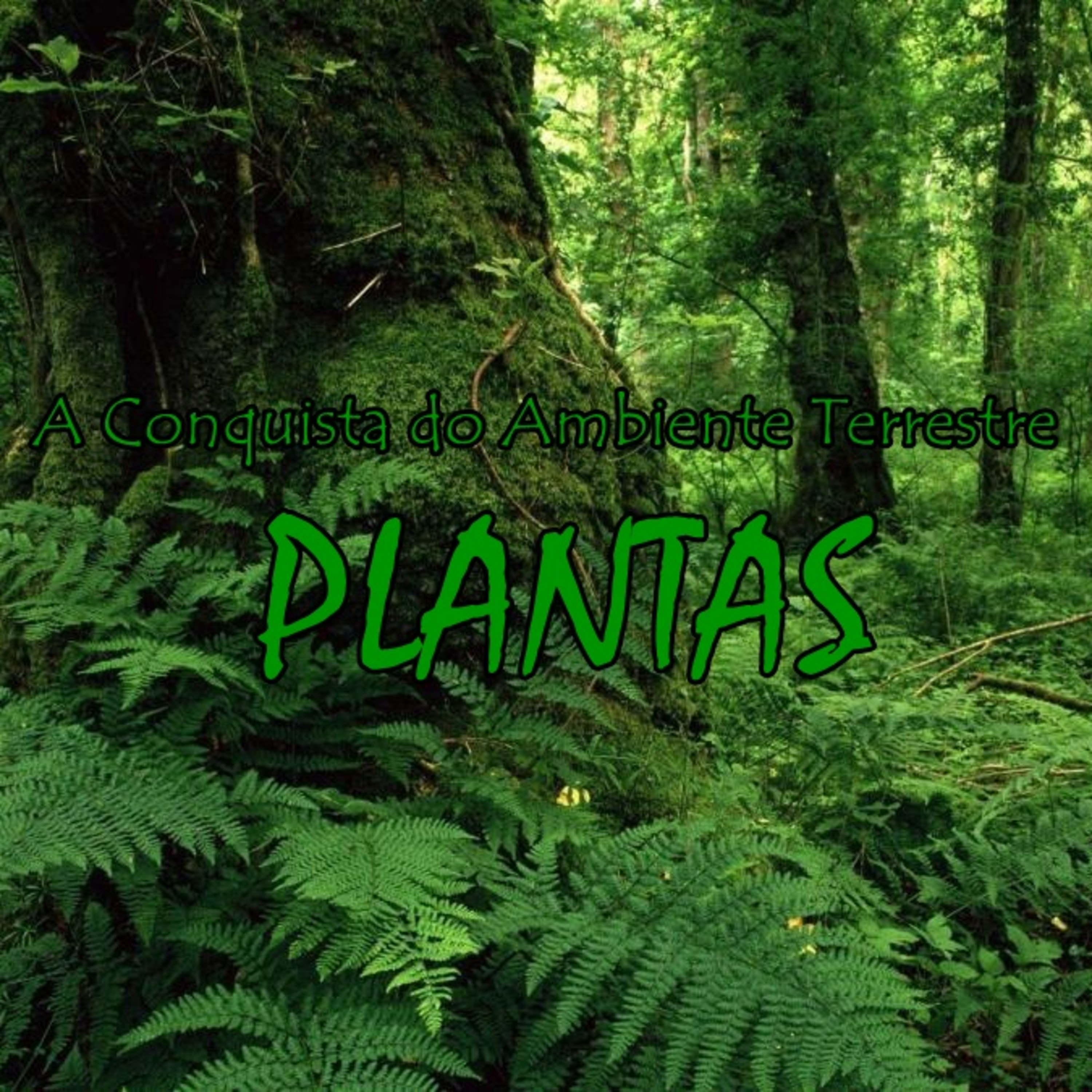 Episódio 10 - A Conquista do Ambiente Terrestre: Plantas
