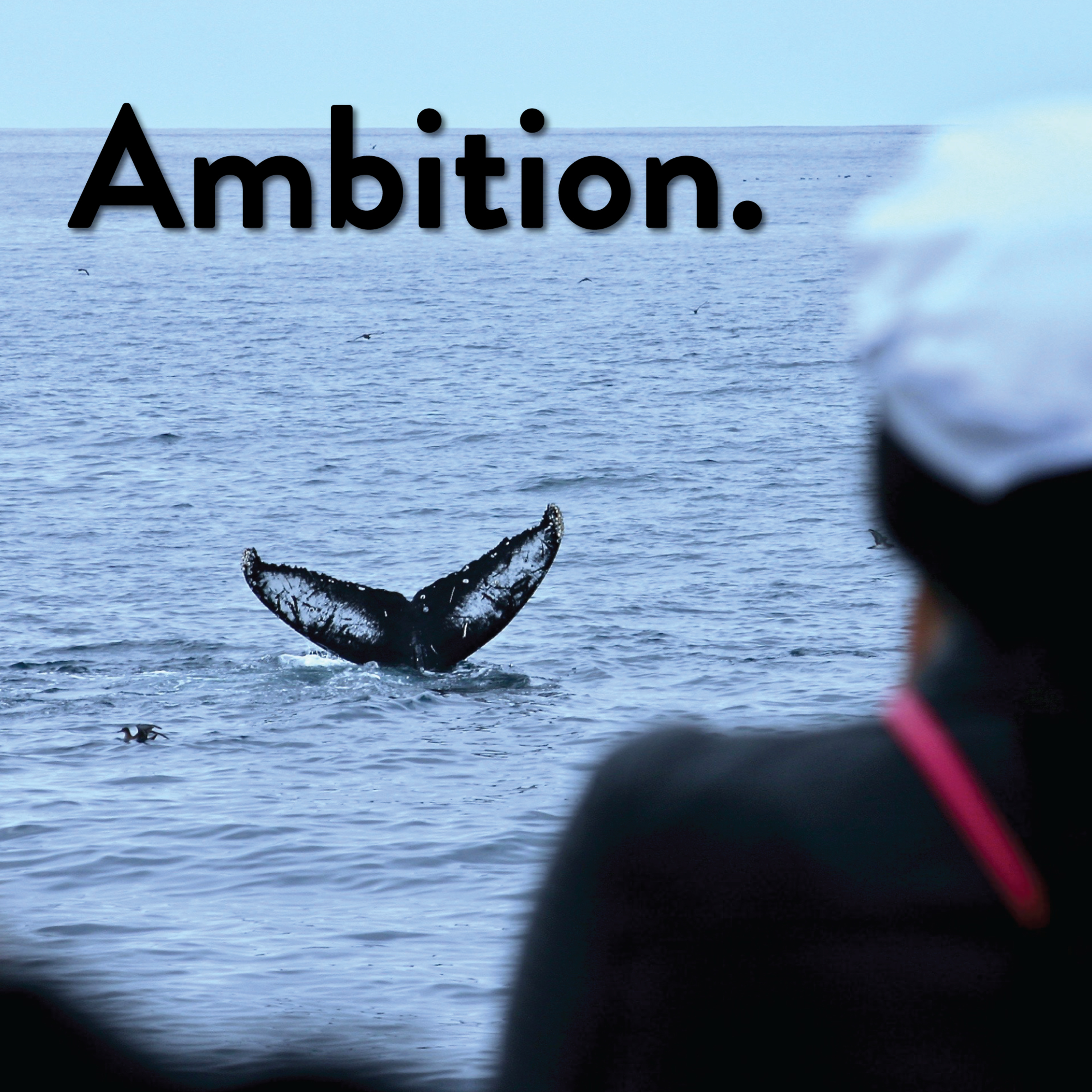 Raise Your Ambition - Upgrade Your Life.