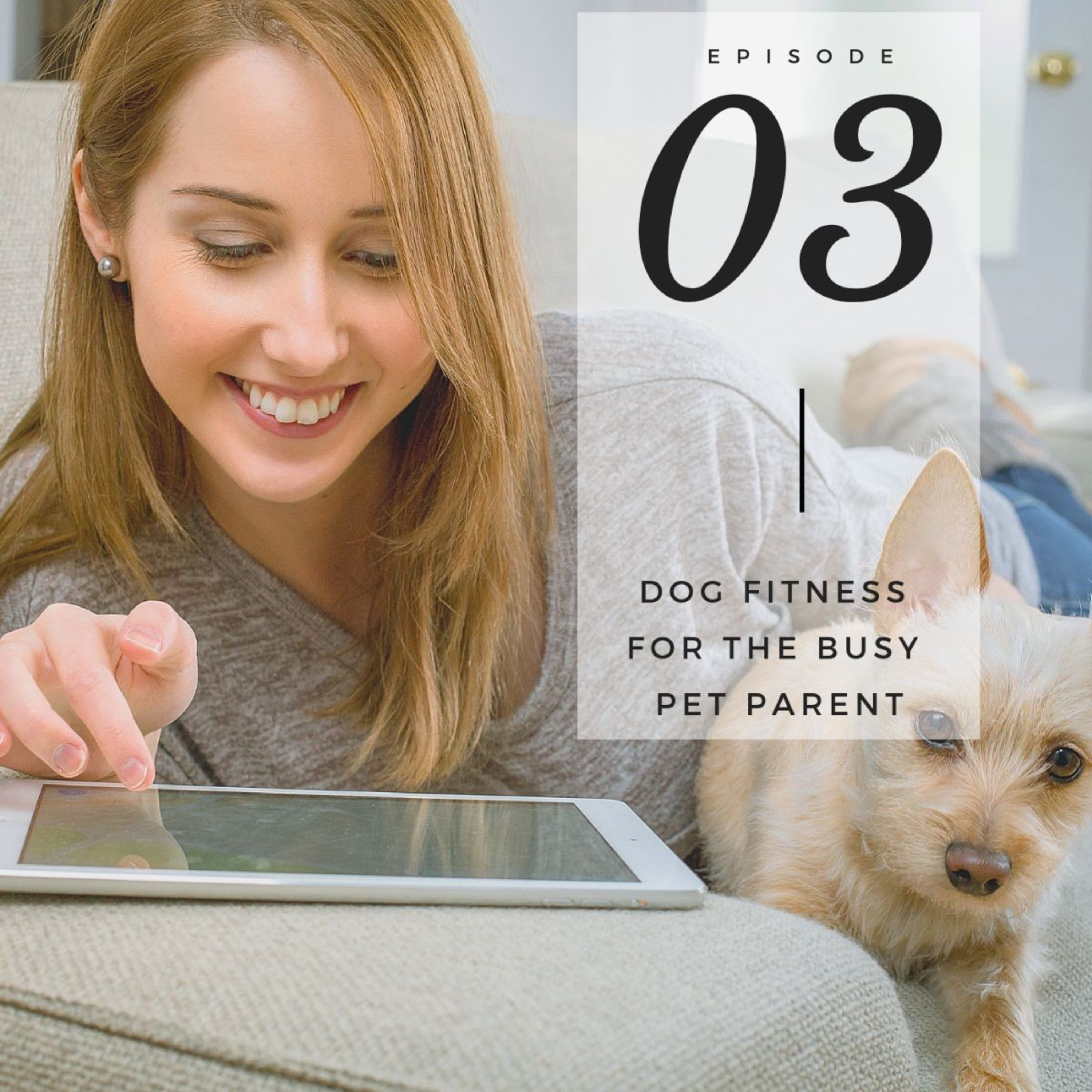 Dog Fitness for the Busy Pet Parent