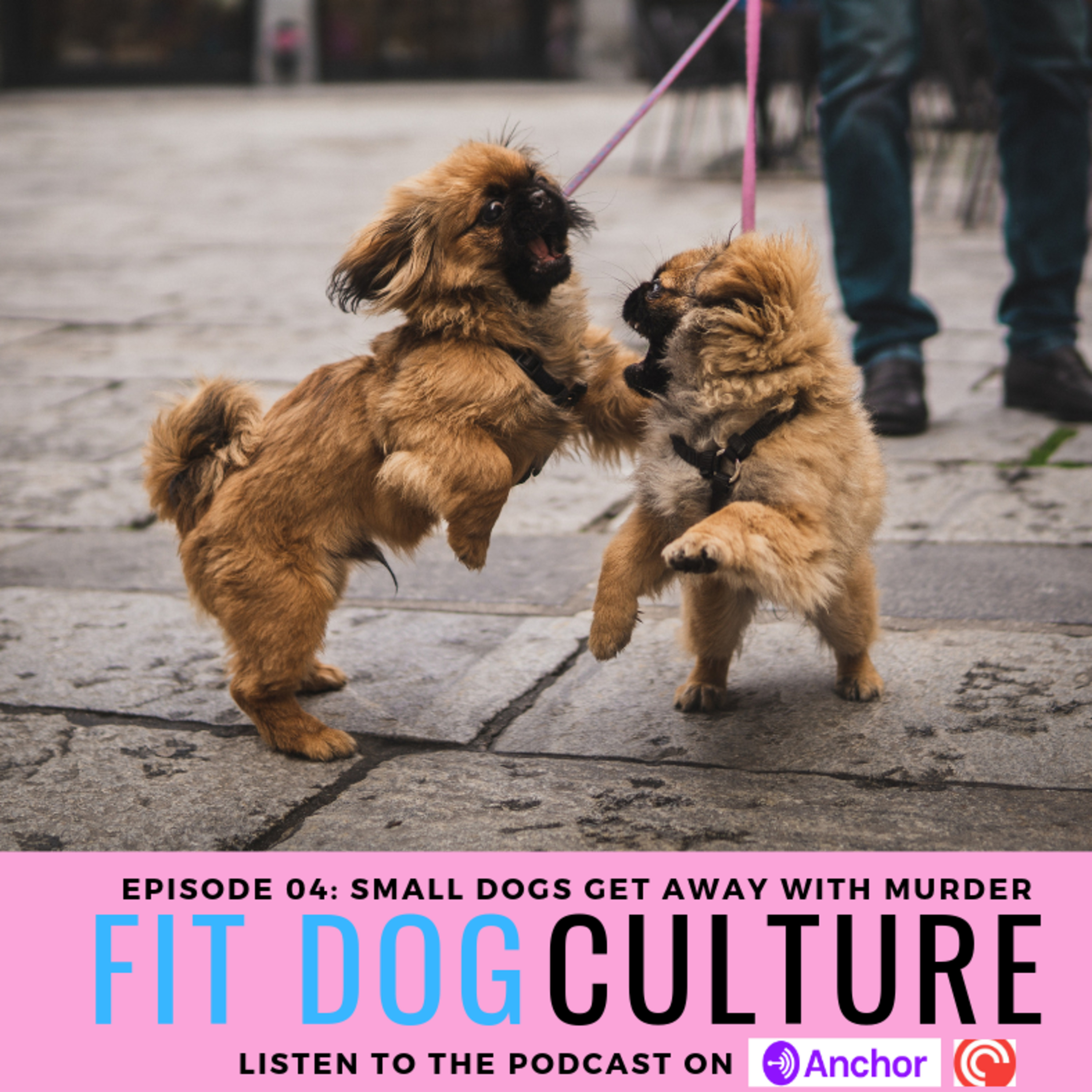 Small Dogs Get Away With Murder