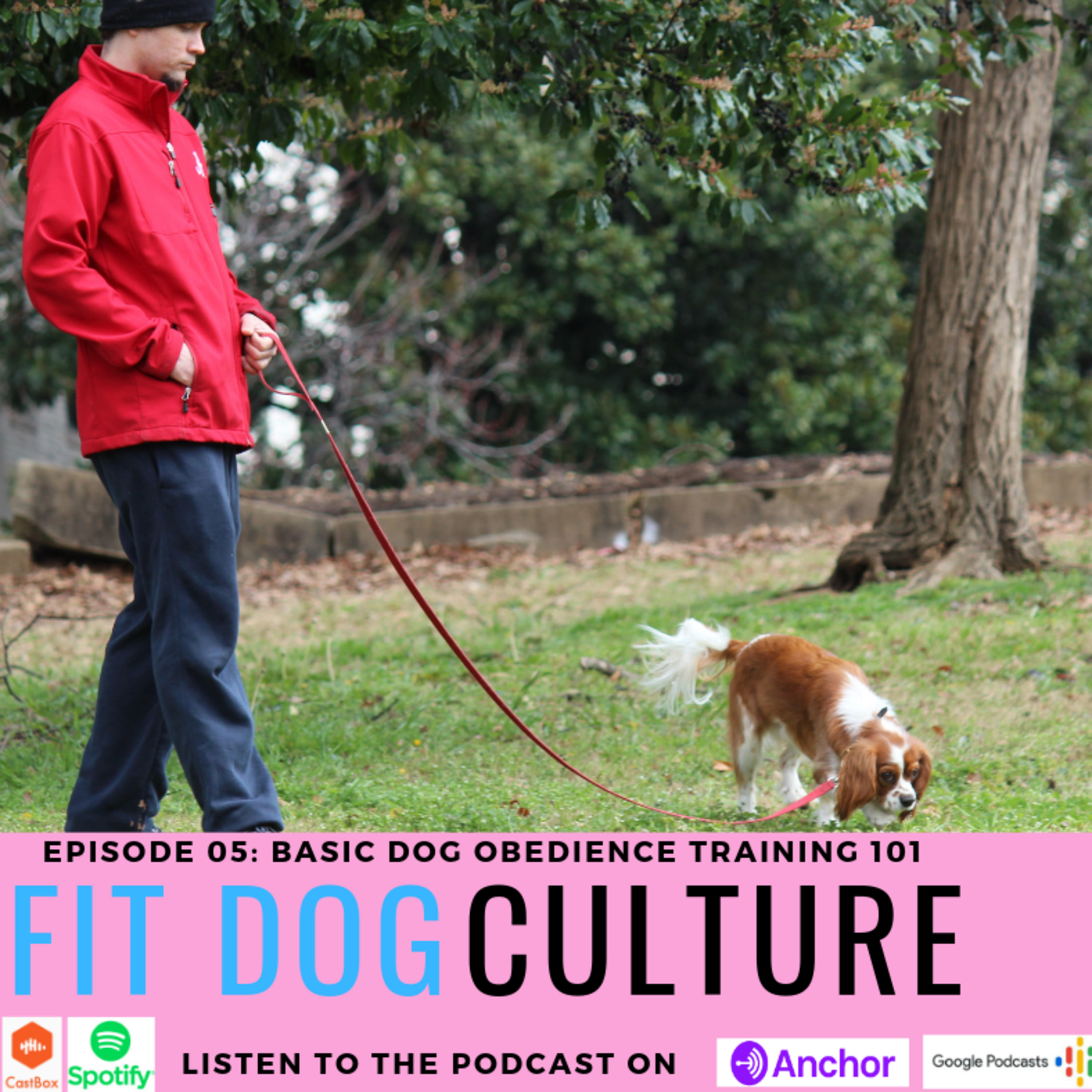 Basic Dog Obedience Training 101