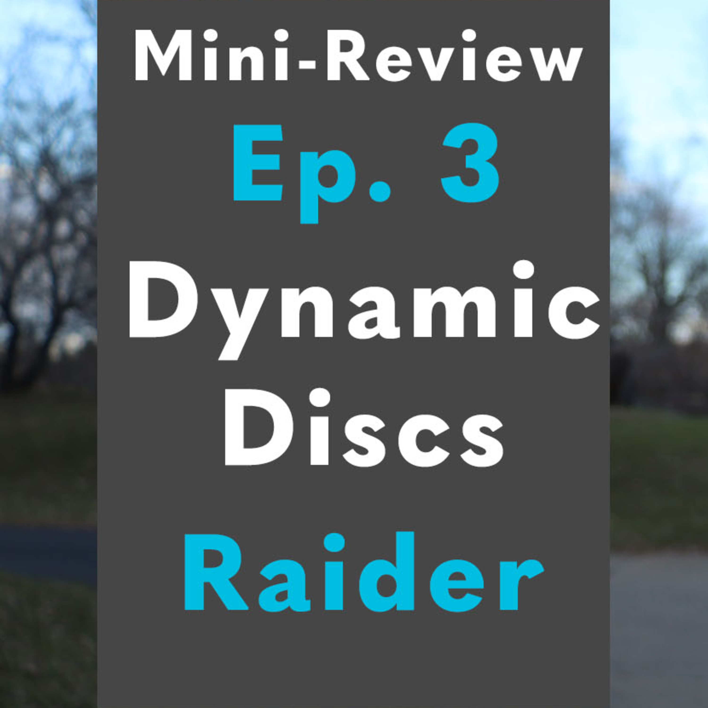 Mini Review Ep. 3: Dynamic Discs Raider | Rising Am Disc Golf