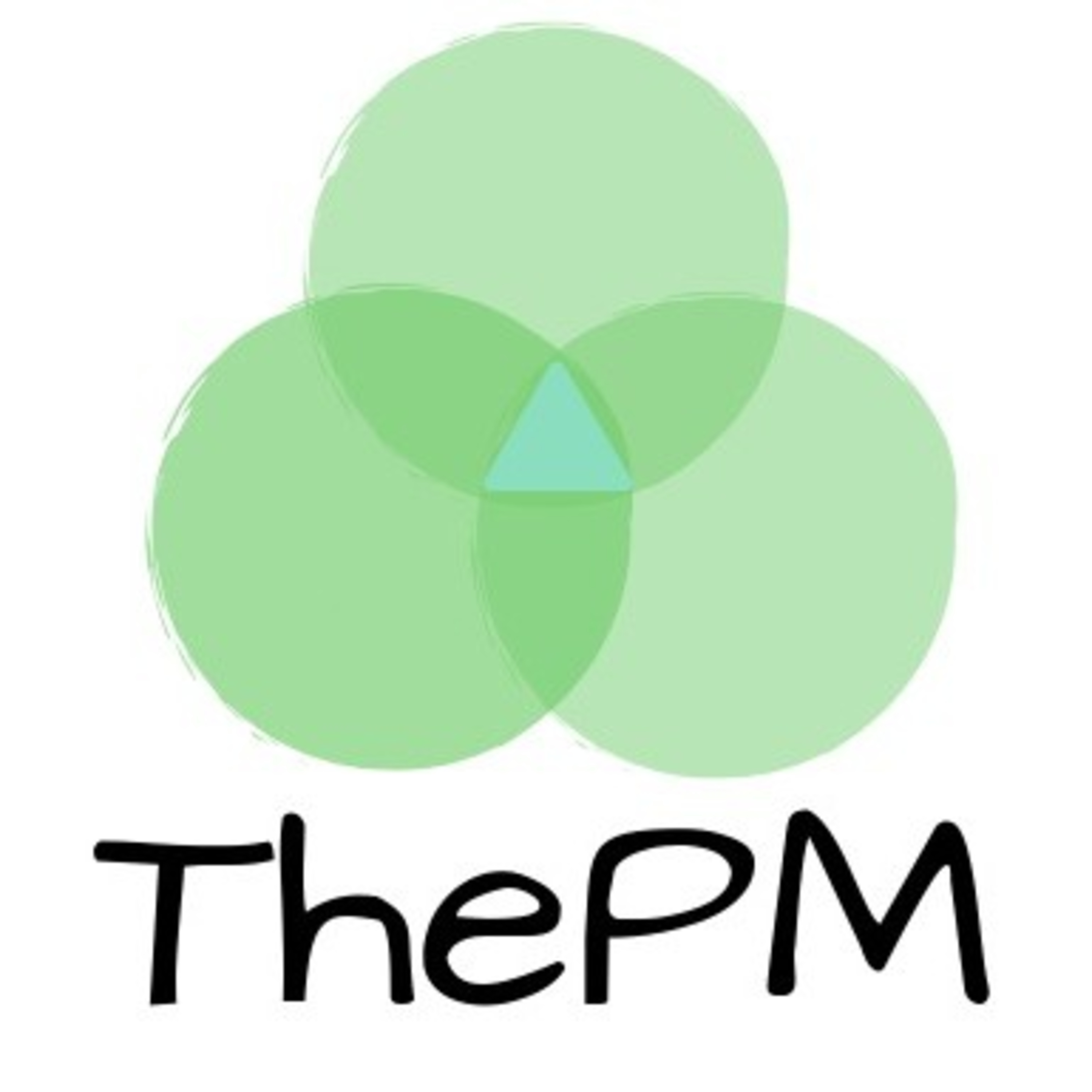 TheProductmanagement introduction