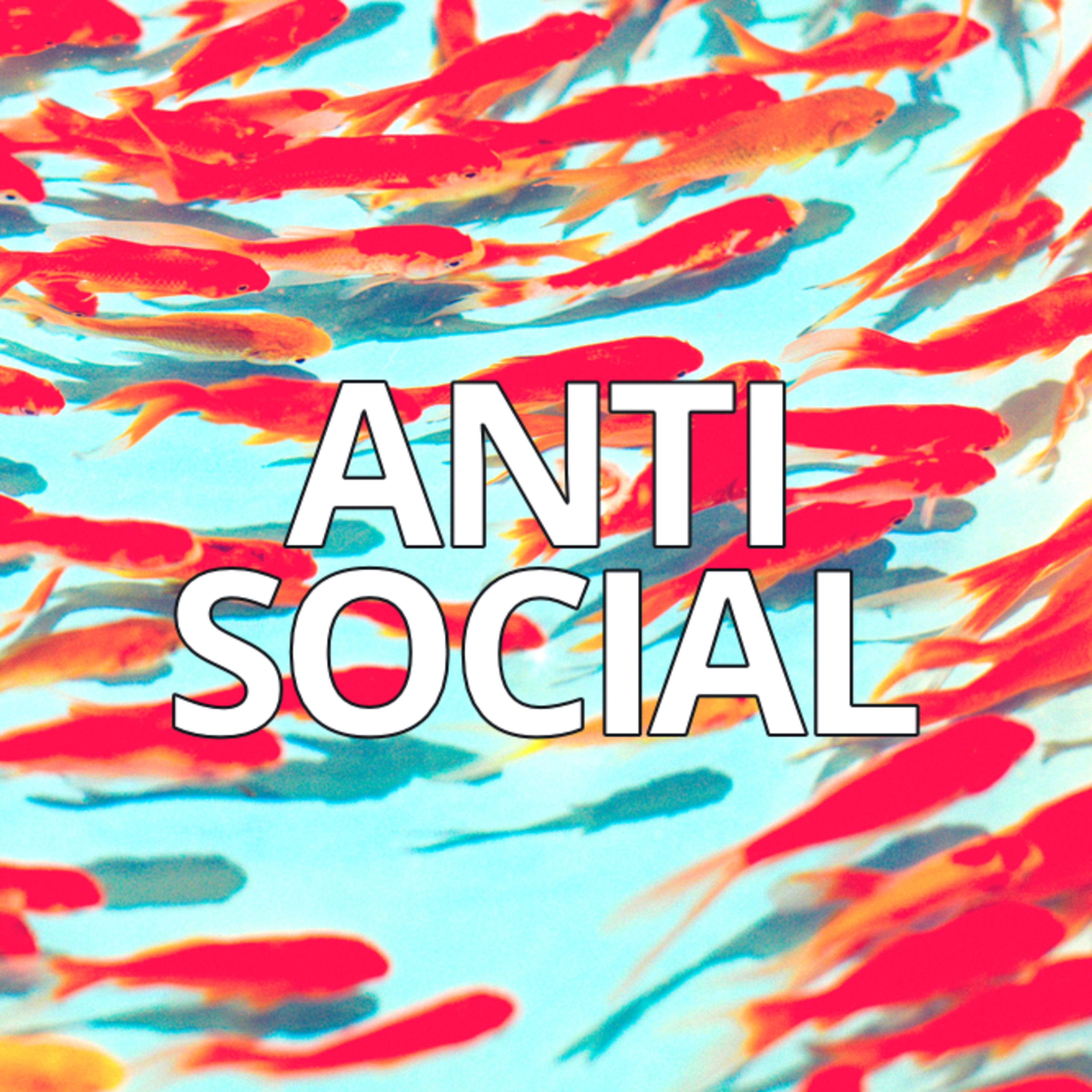 Anti Social