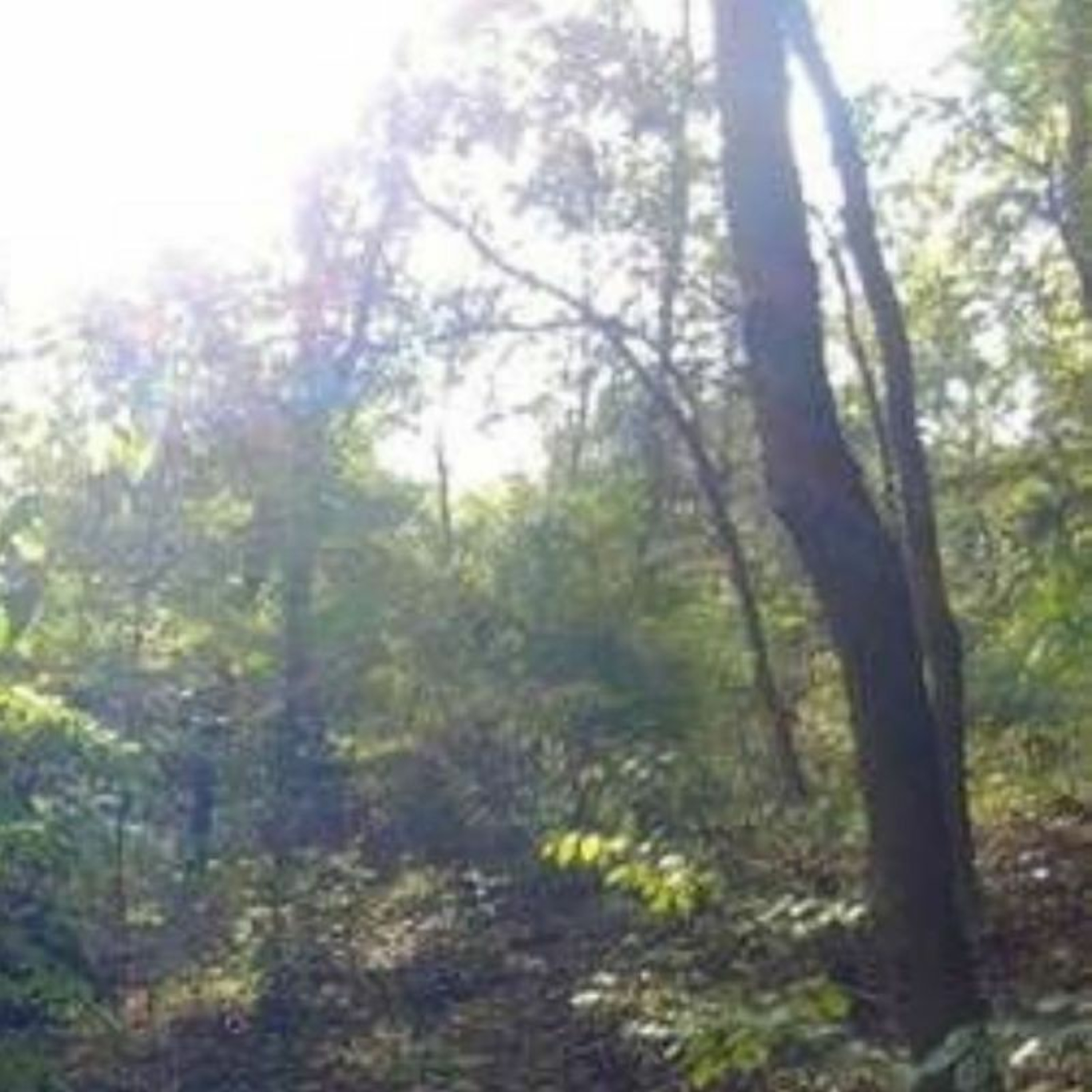 April 12, 2019 Wilderness, This