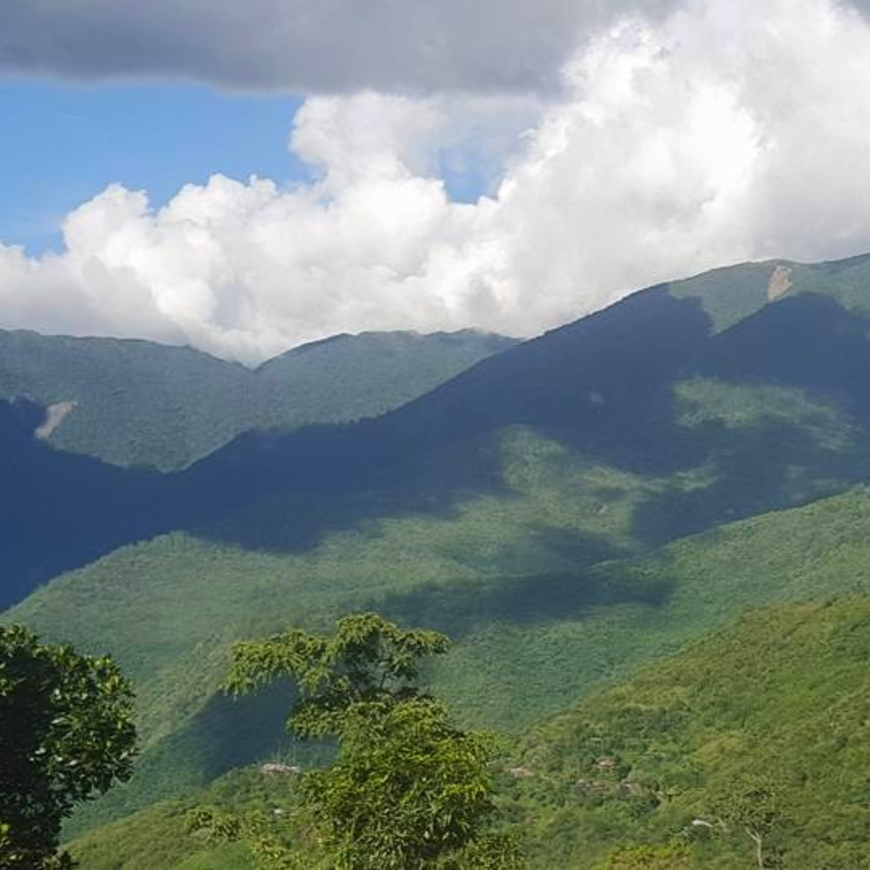 Inn Kuan Ki It Leng