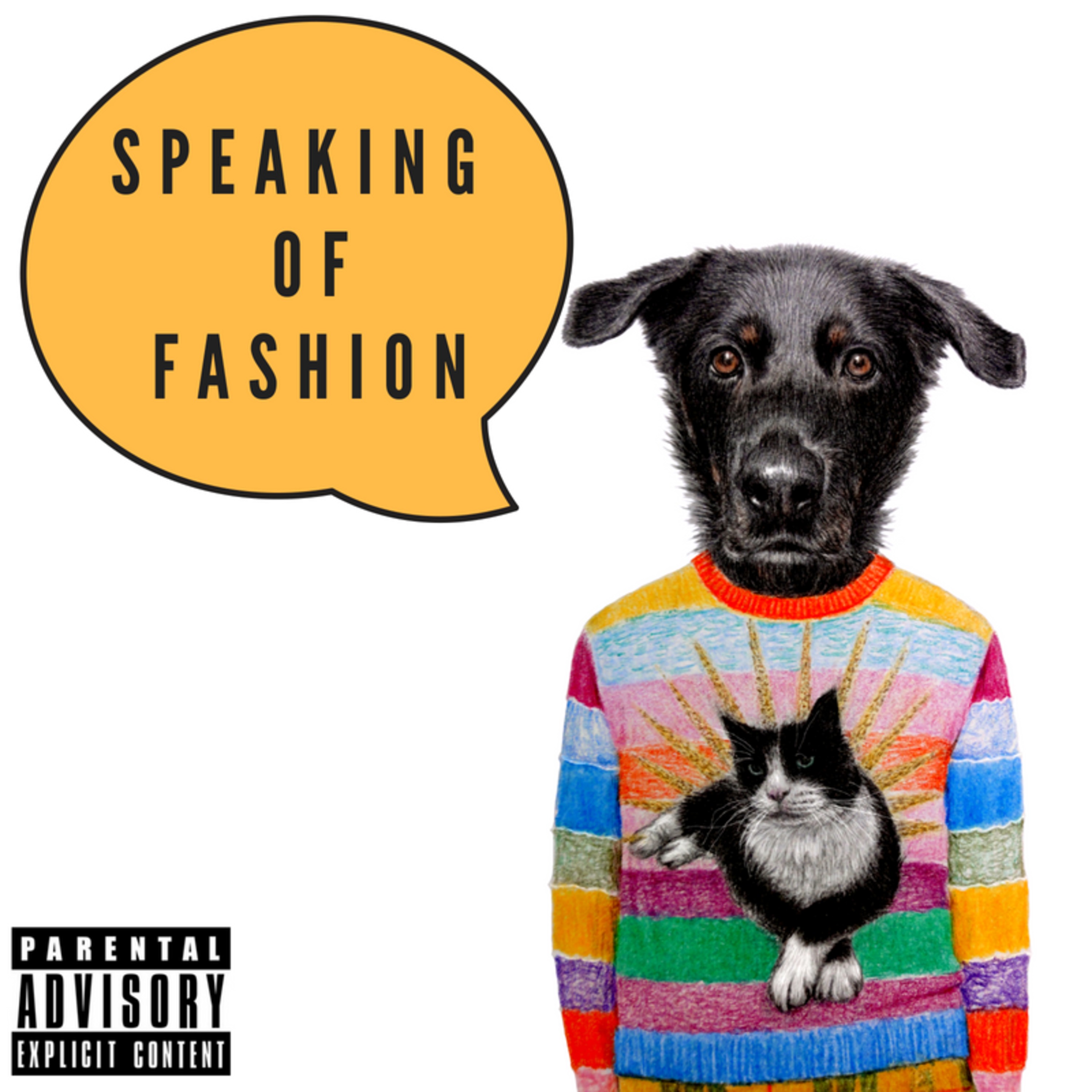 Announcing: SPEAKING OF FASHION