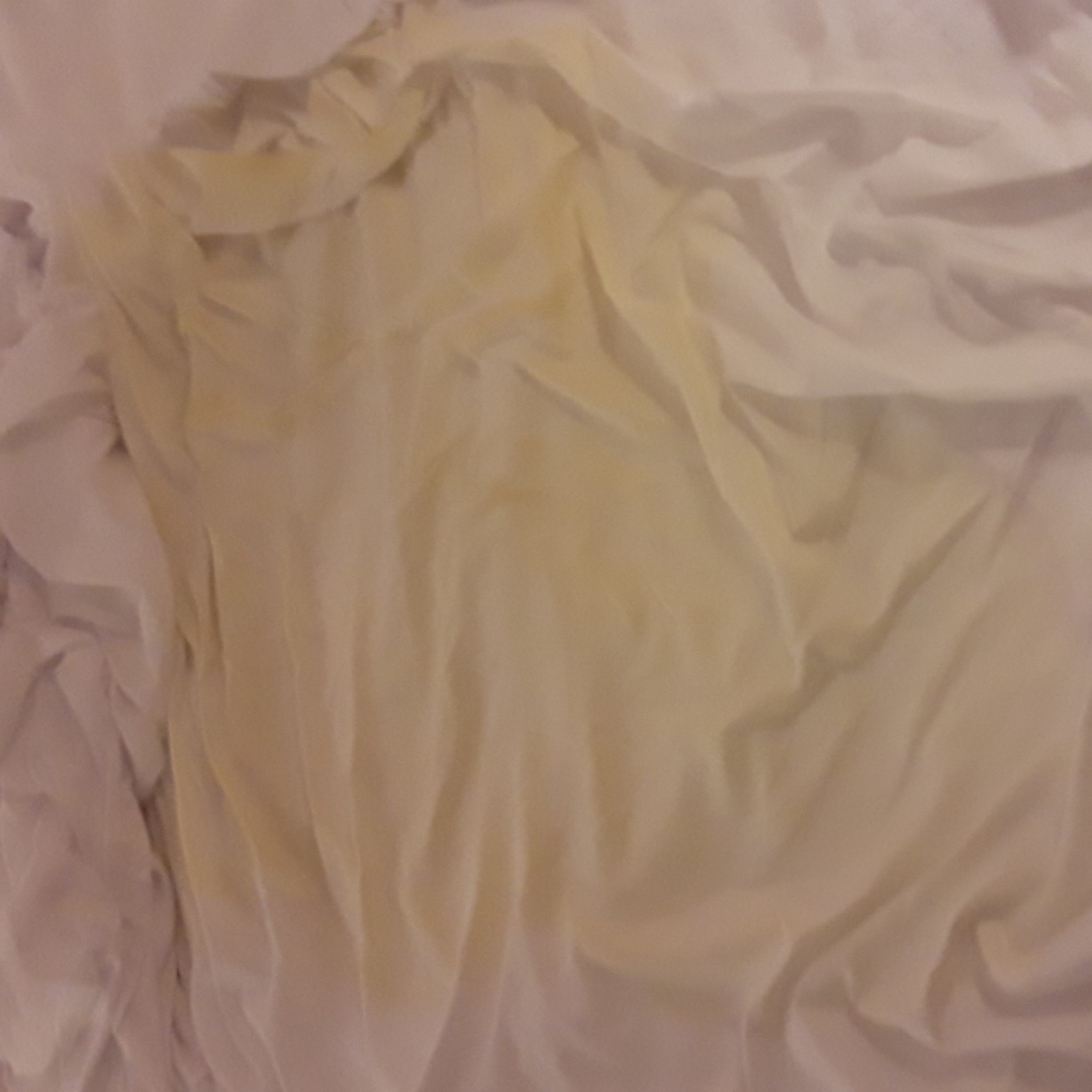 Questions about Pooter Squirts