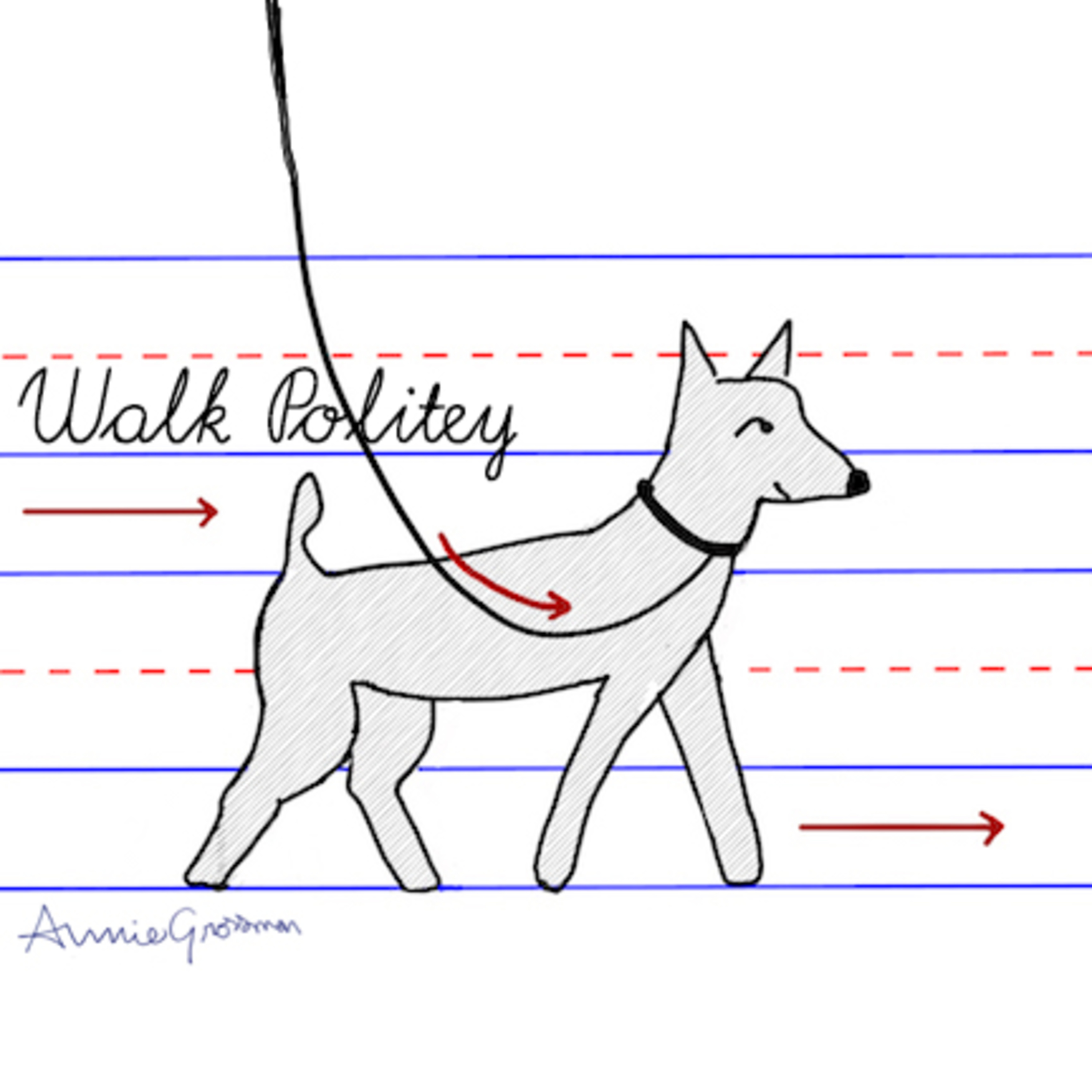 How to train your dog to walk on a loose leash