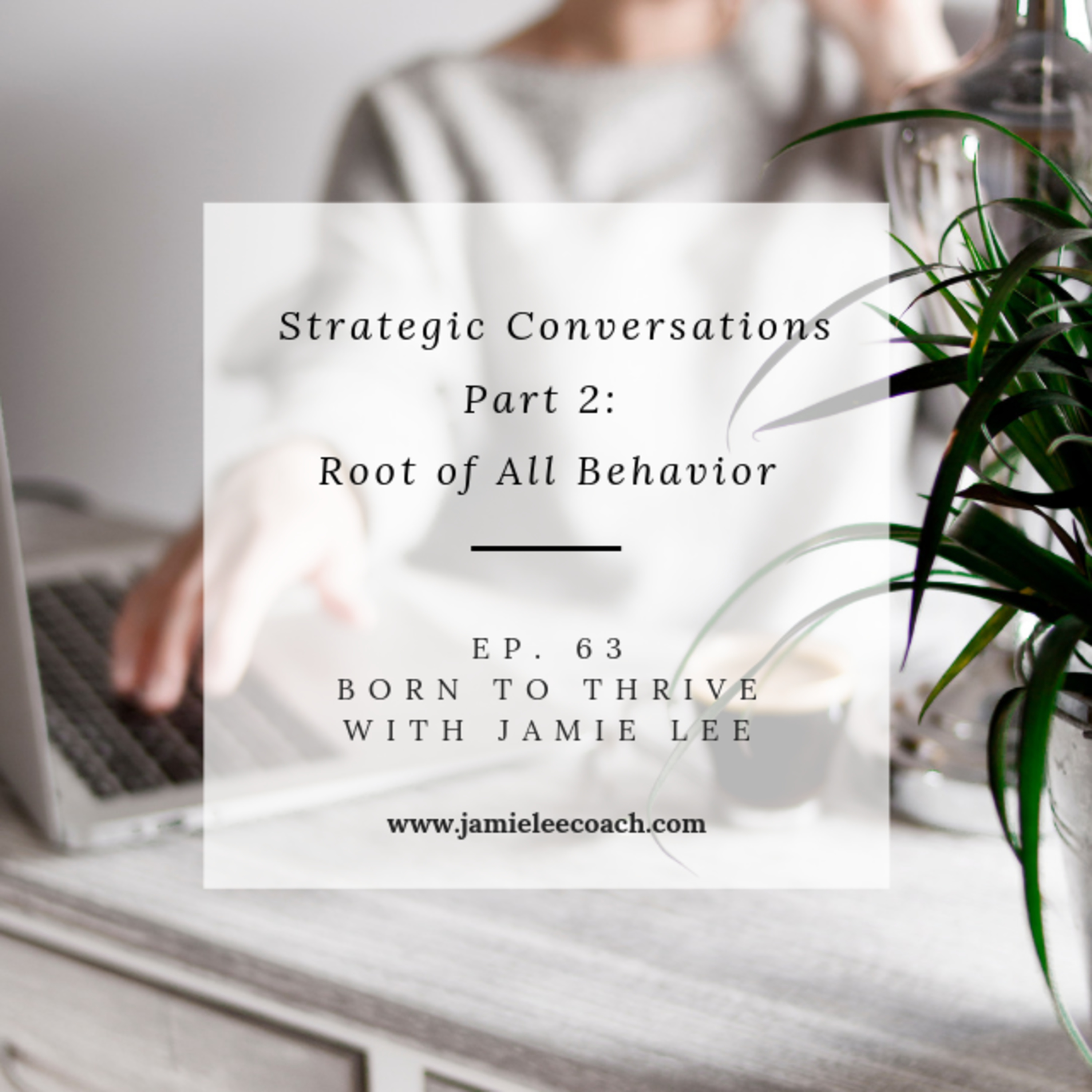 Ep 63. Strategic Conversations Part 2: Root of All Behavior