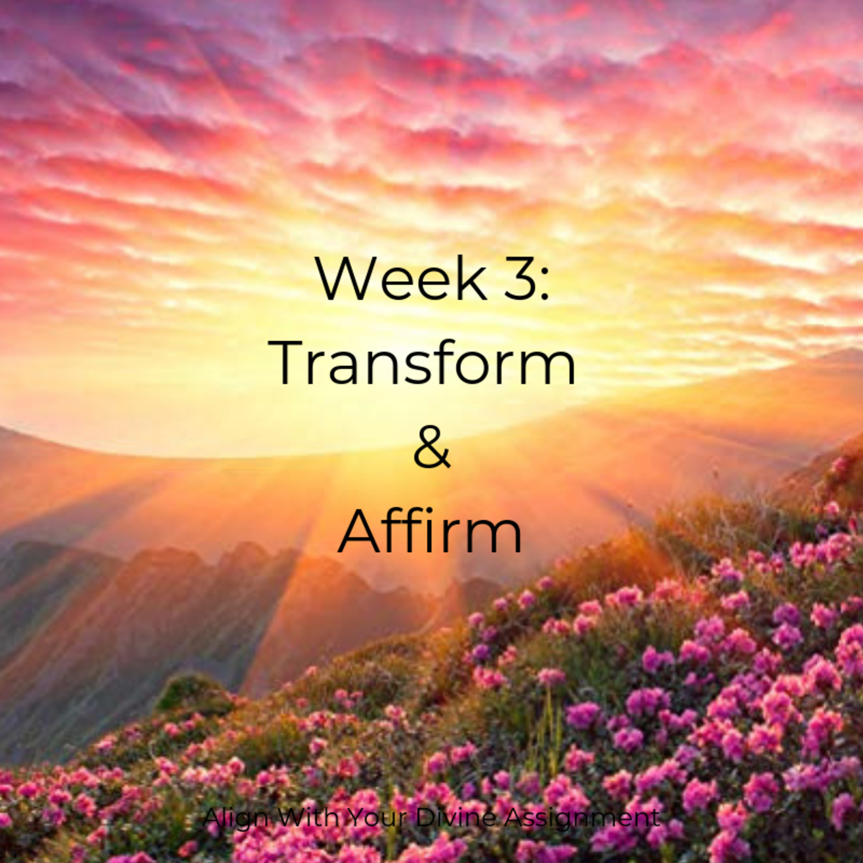 Transform & Affirm Meditation