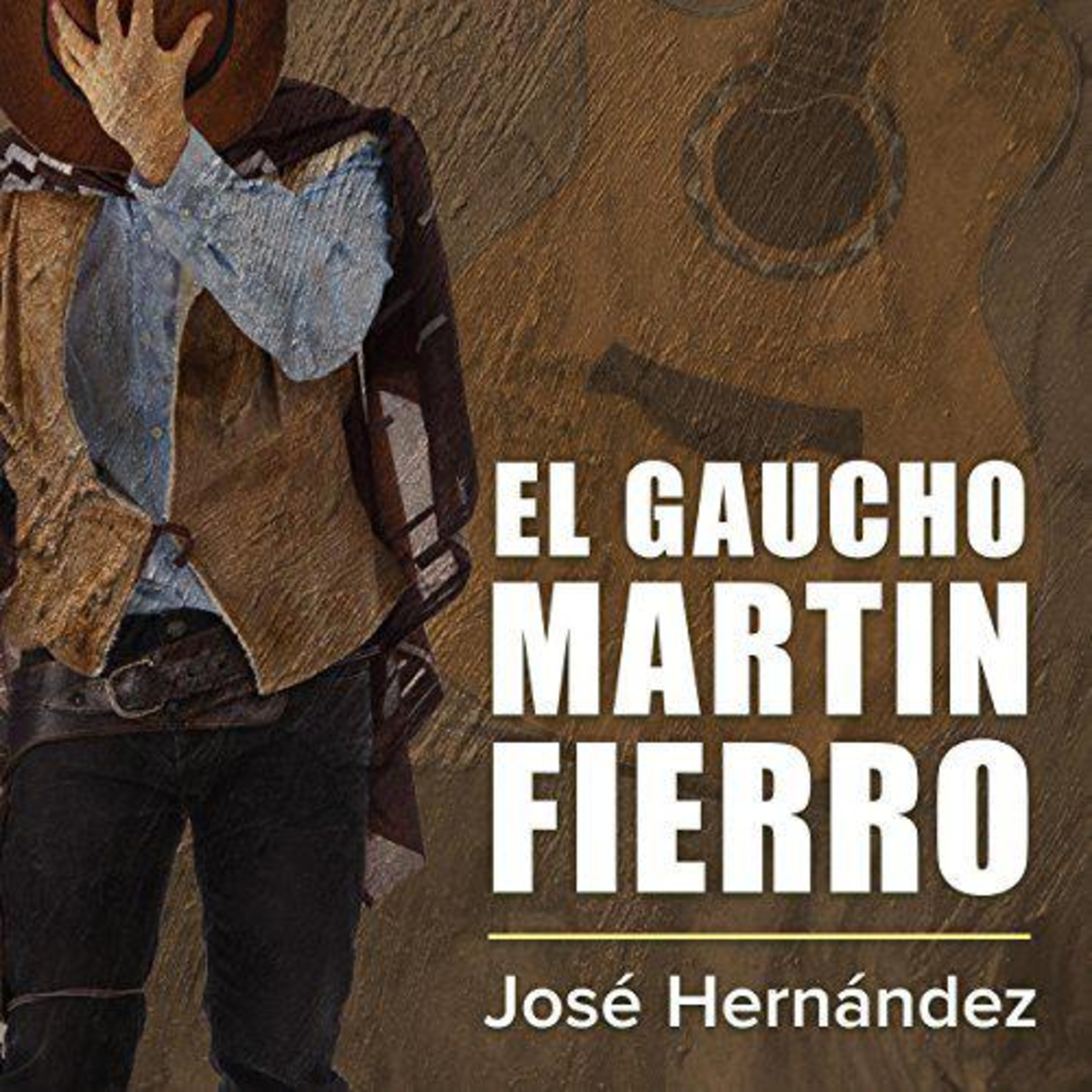 【 AUDIOLIBRO 】️ El gaucho Martin Fierro - José Hernández