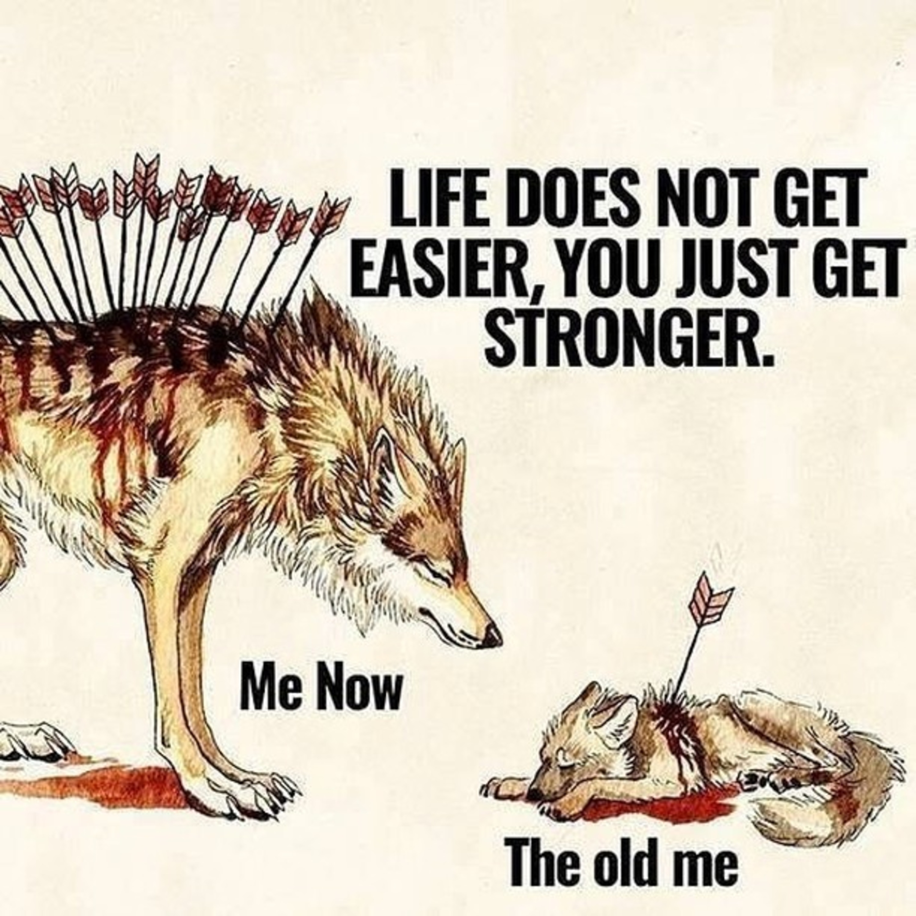 Advice/ Tips