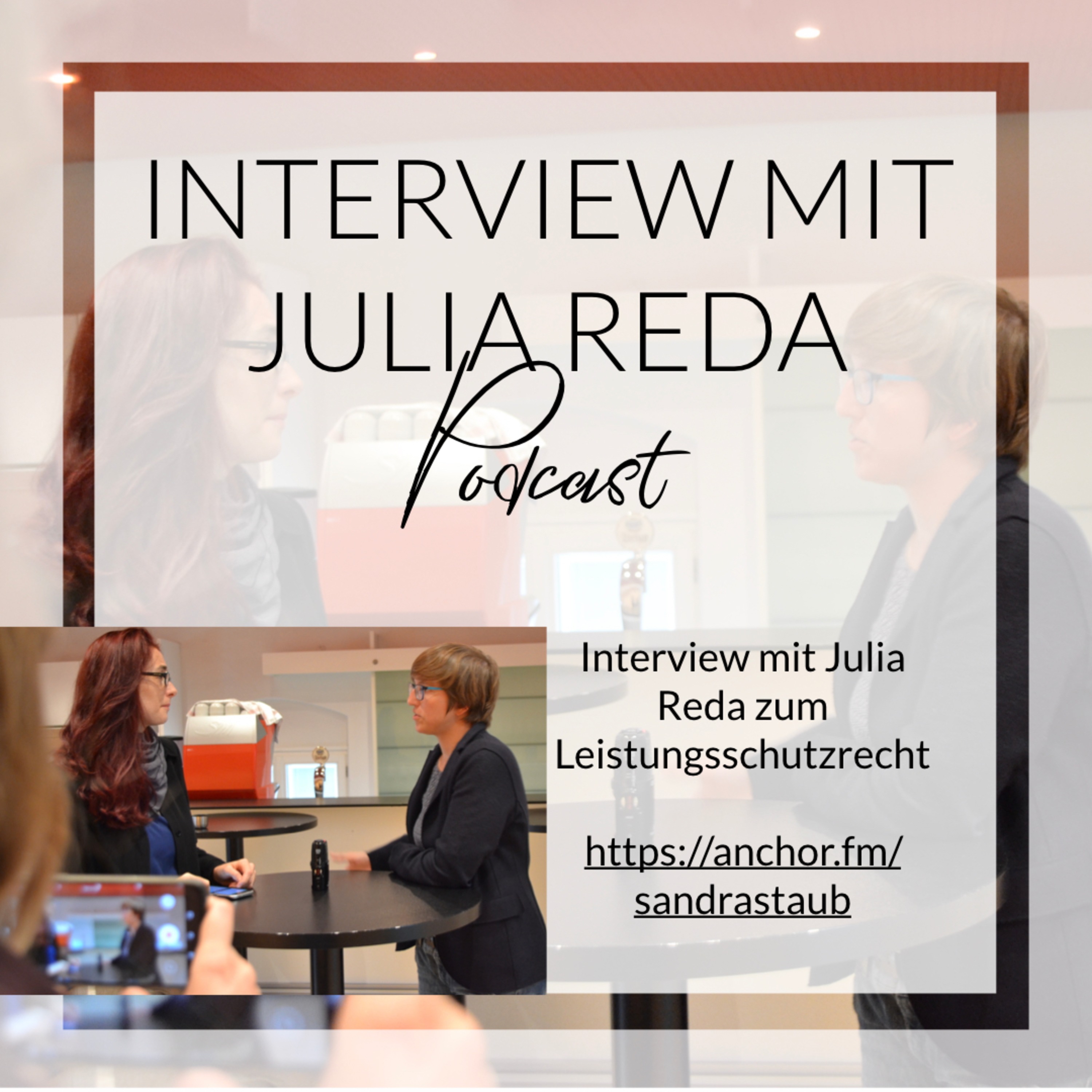 013 - Interview mit Julia Reda zum Leistungsschutzrecht