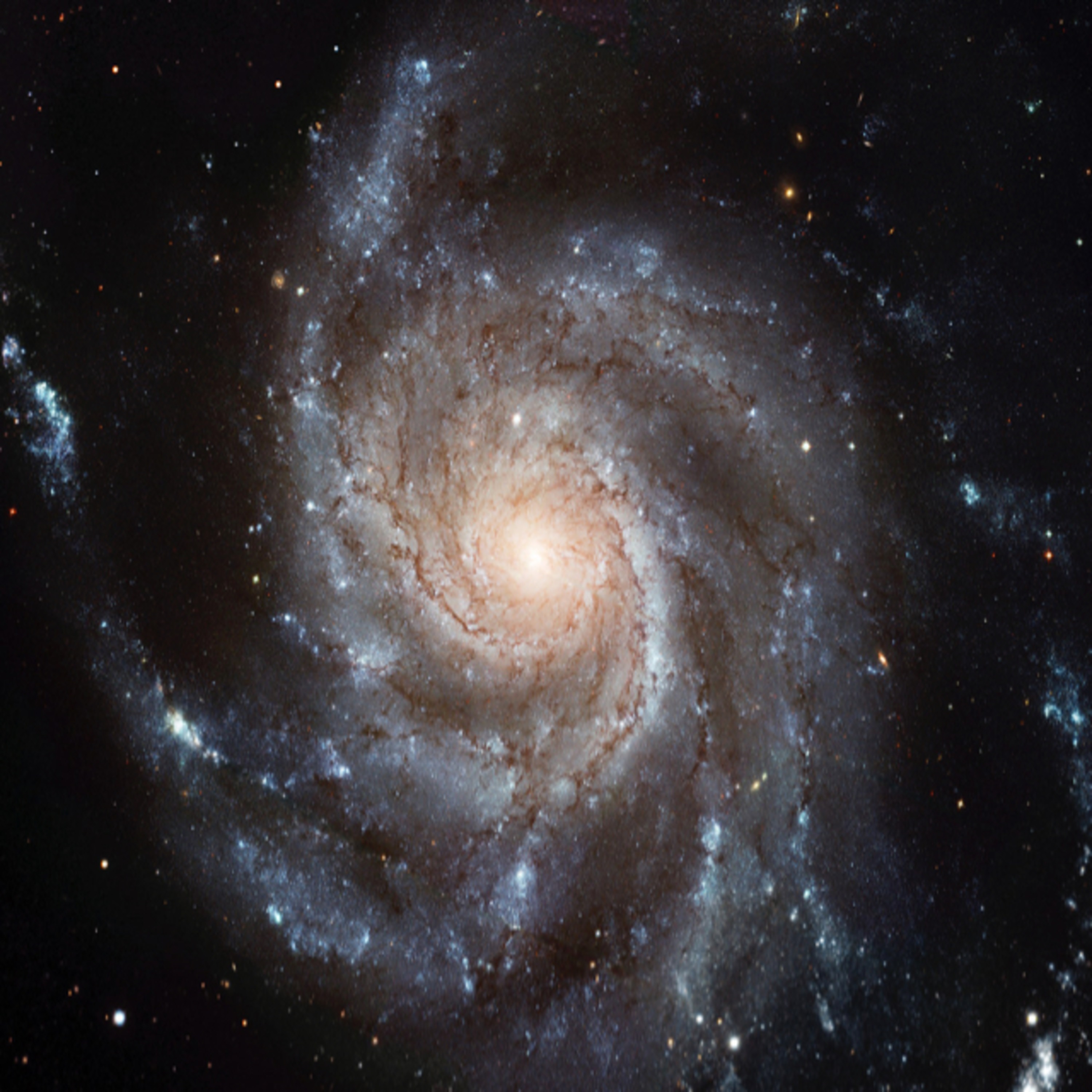 Speck of dust.