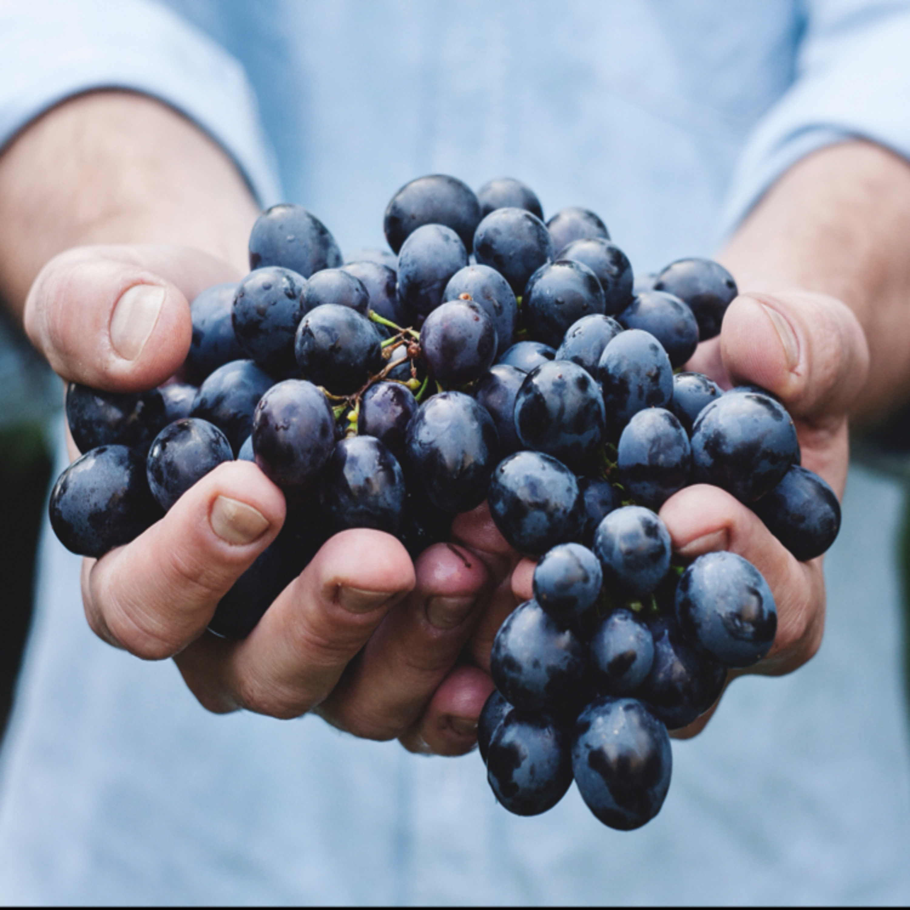 006 - Provide & Produce, Not Take & Receive.