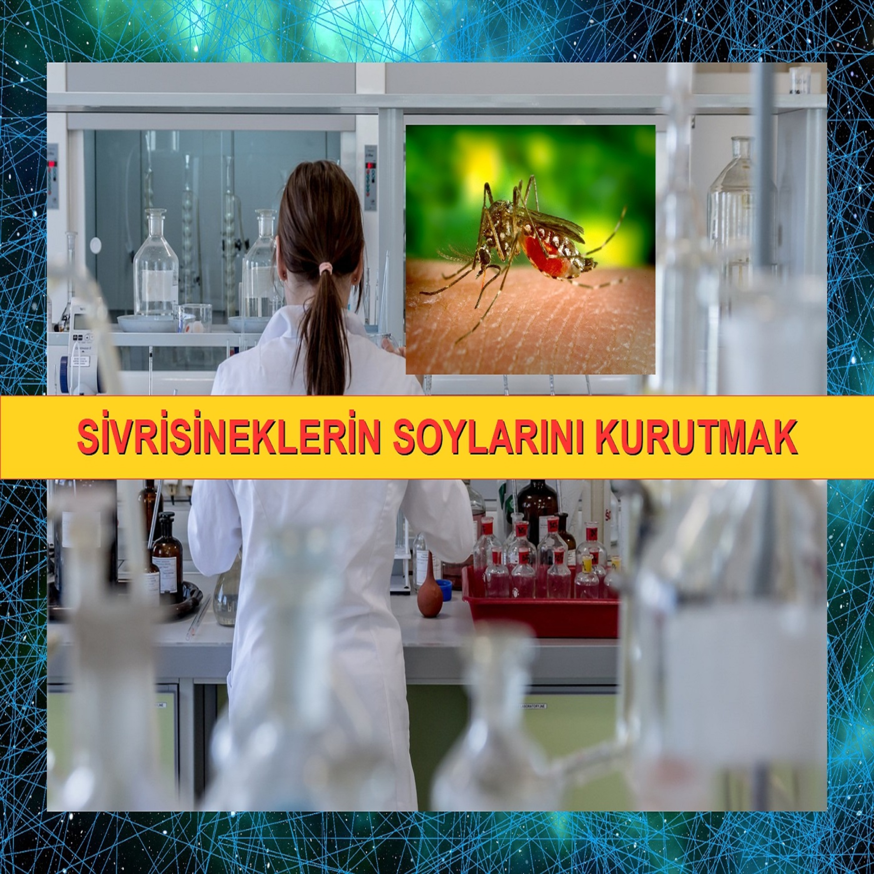 Sivrisineklerin Soylarını Kurutmak