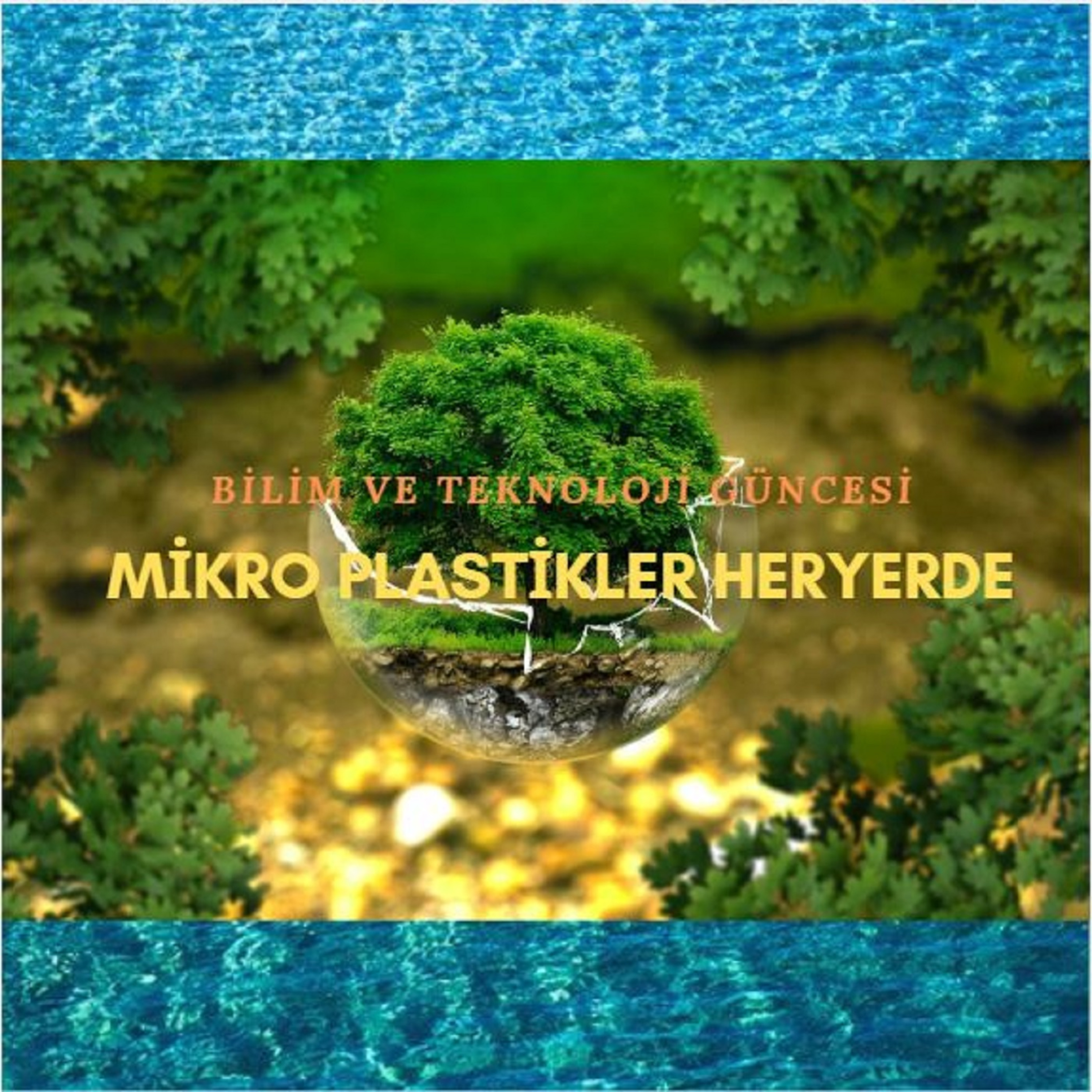 Mikro Plastikler Her Yerde