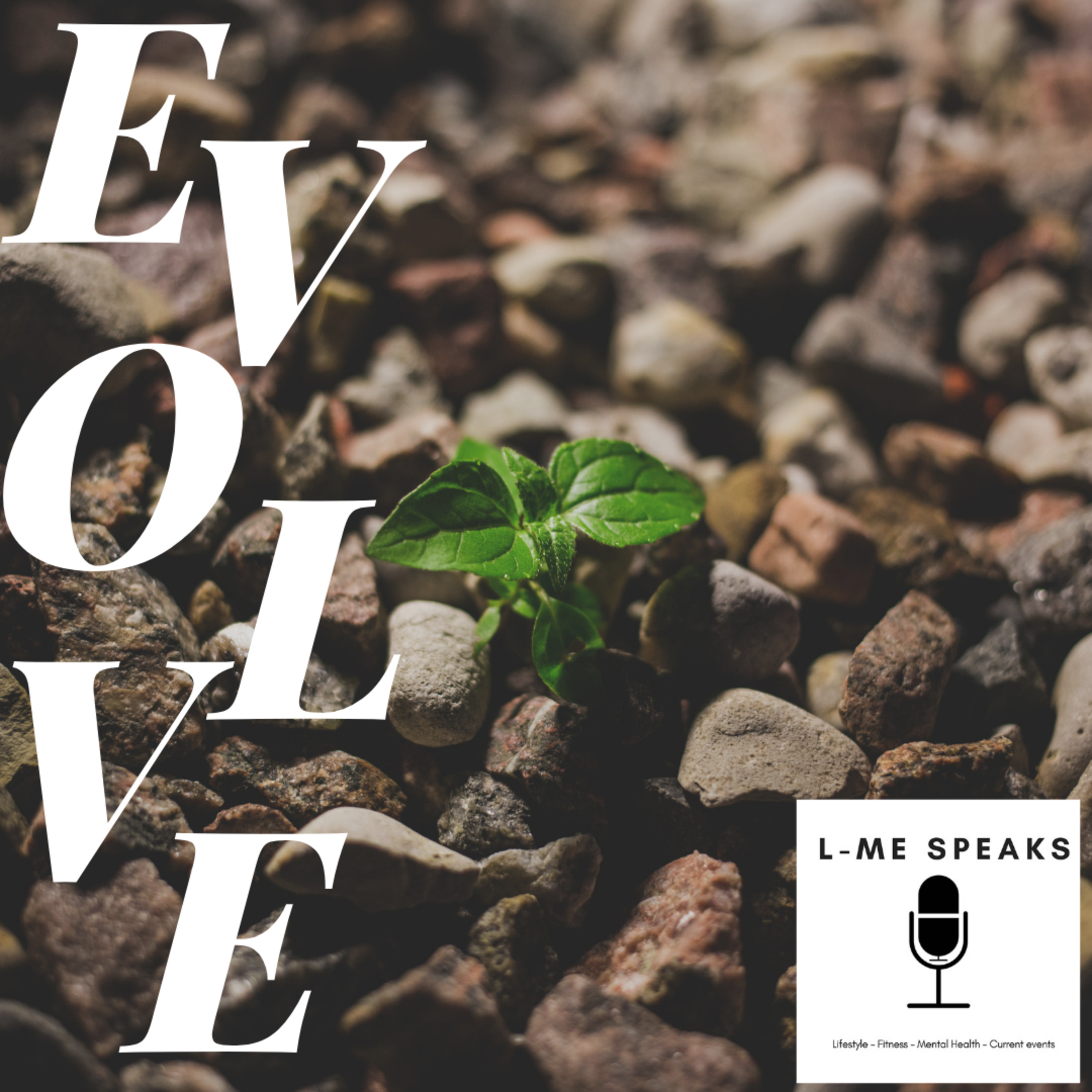 L-Me Speaks: Evolve (The comeback, S6 E1)