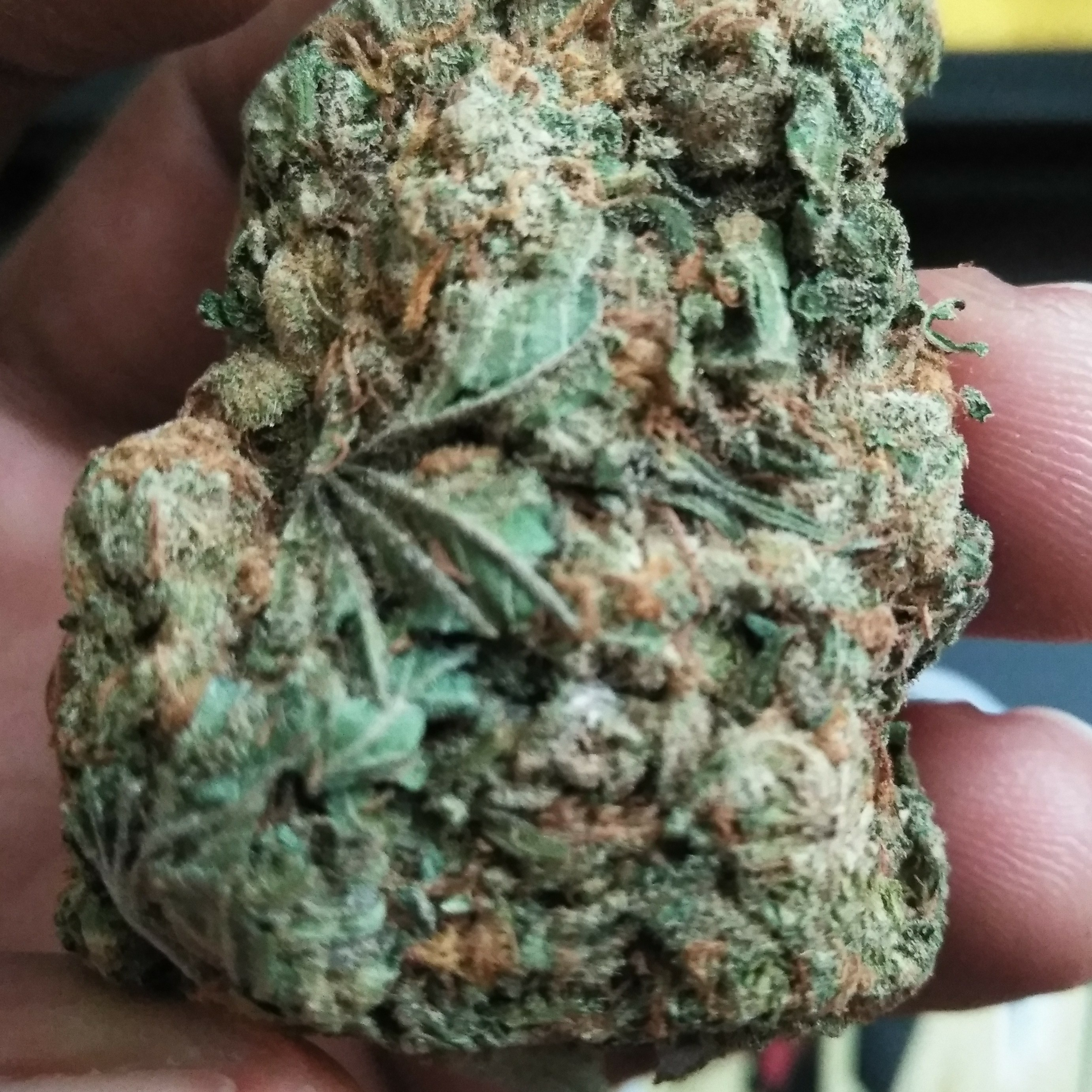 Wake N Bake