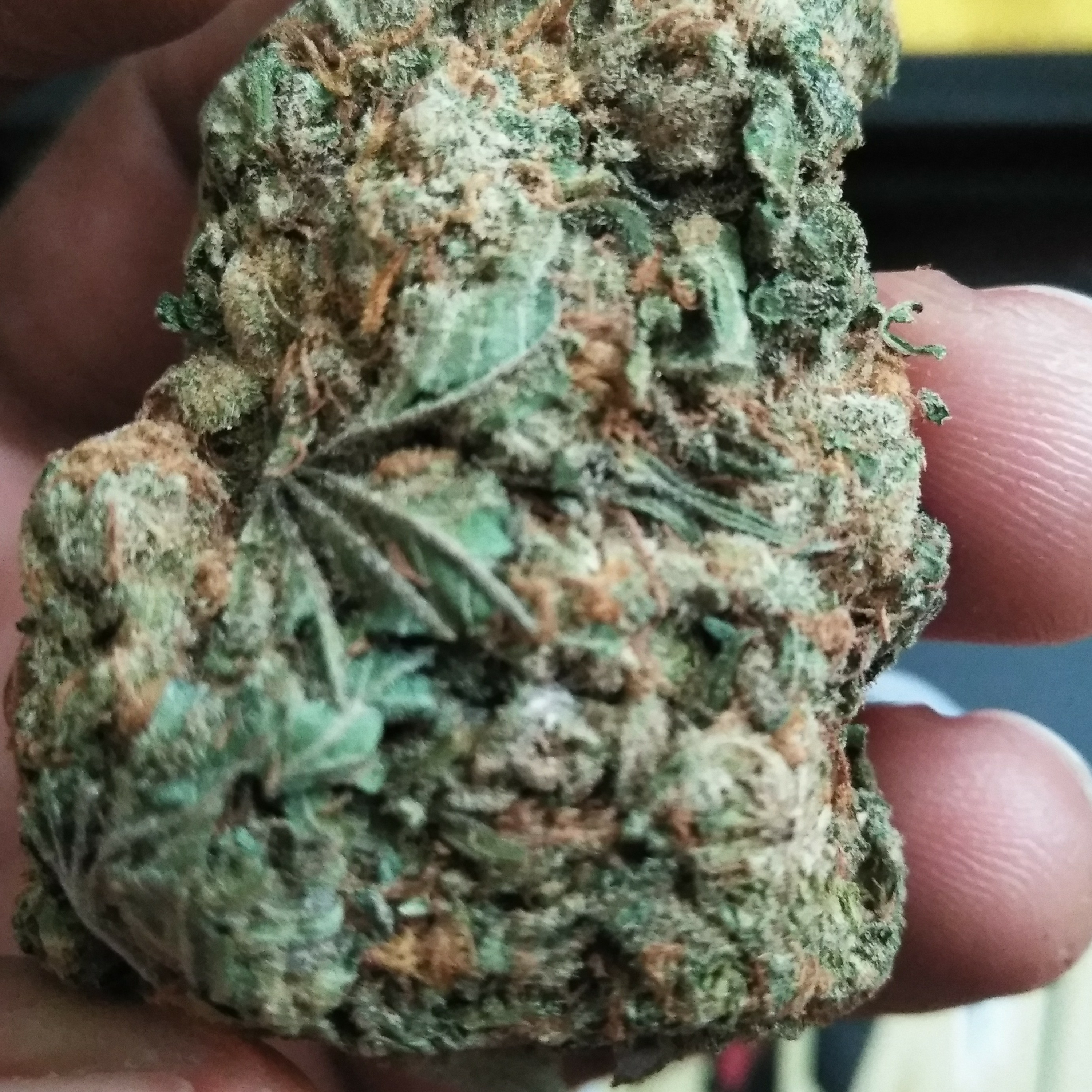 Wake N Bake
