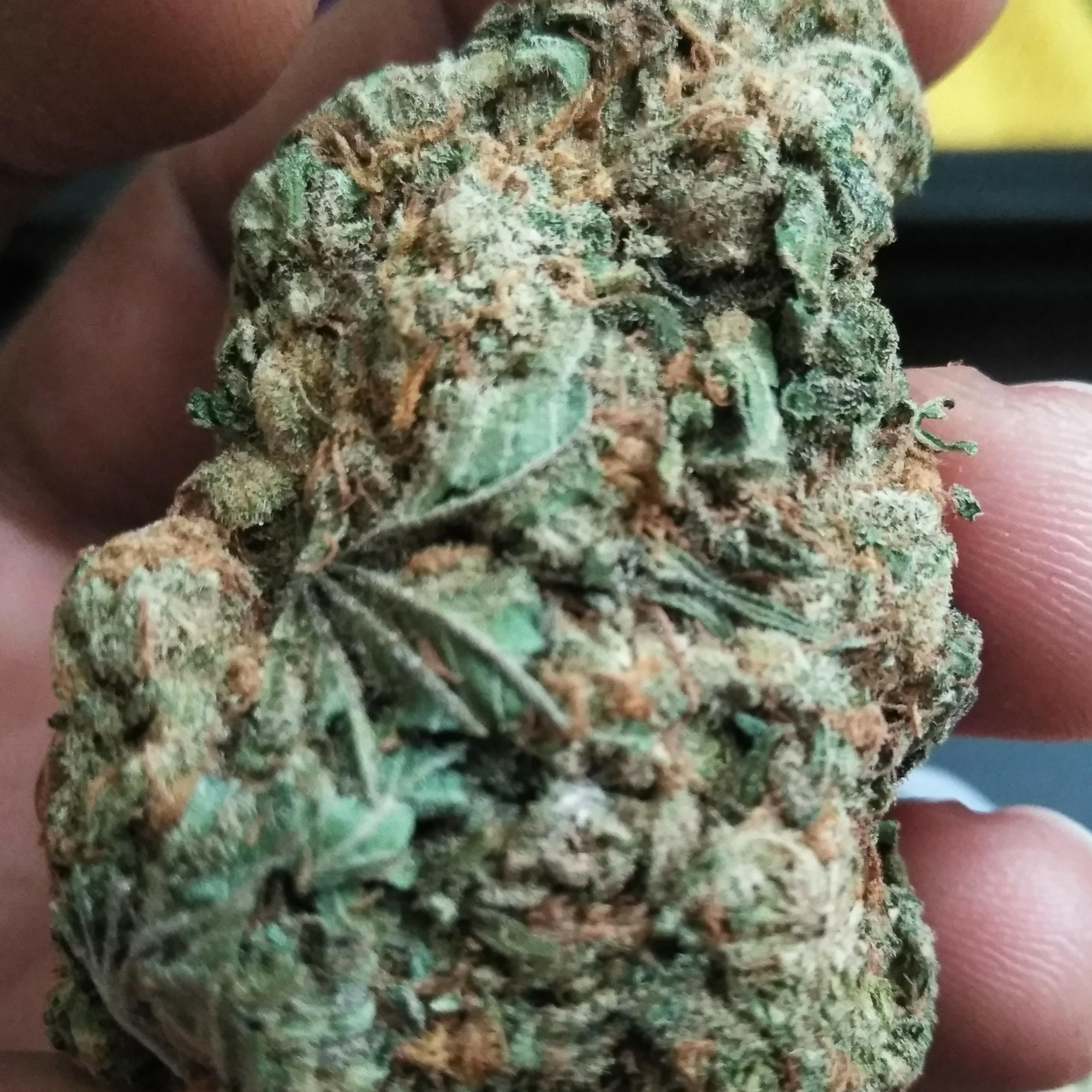 Wake N Bake