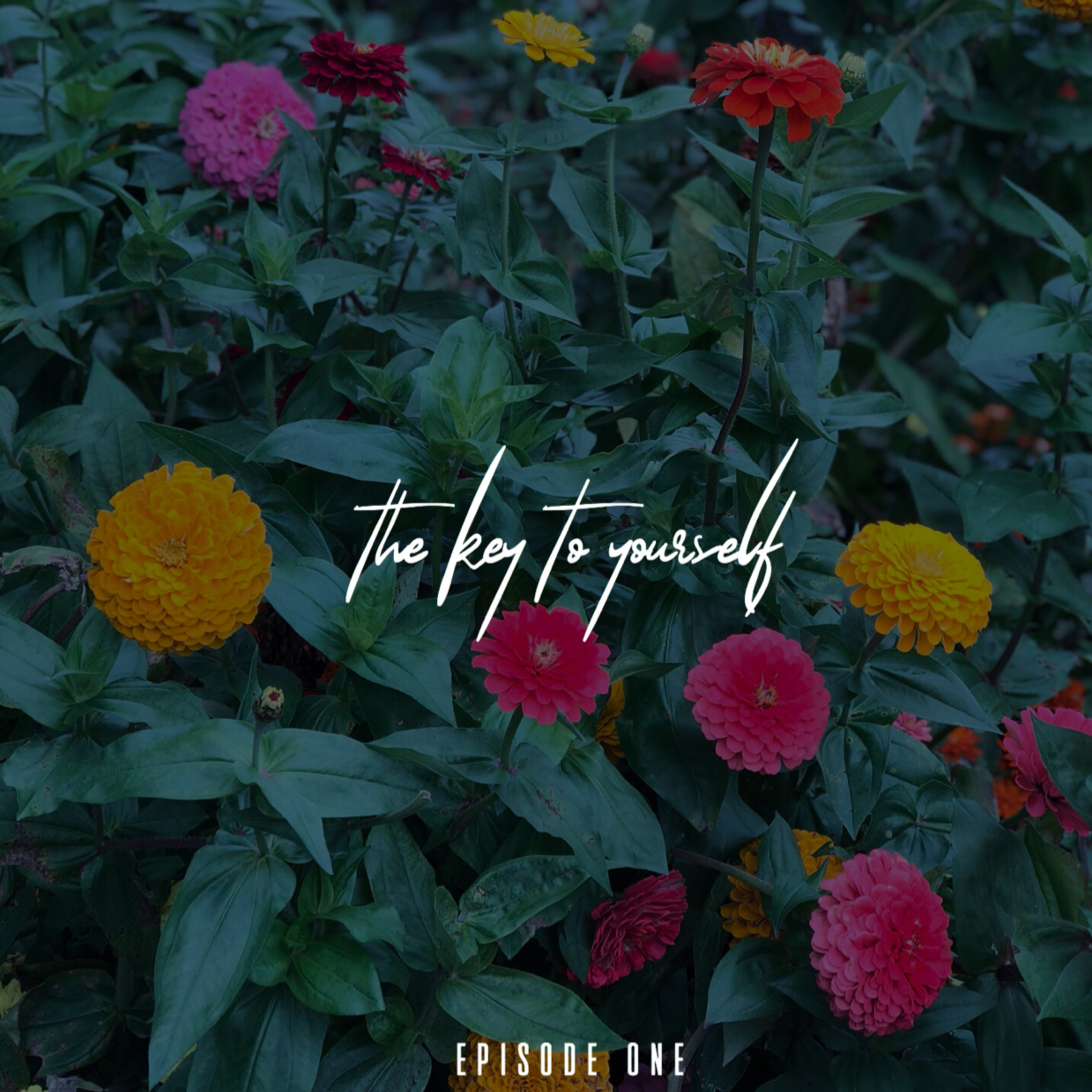 Episode One: Loving Myself First, Introduction