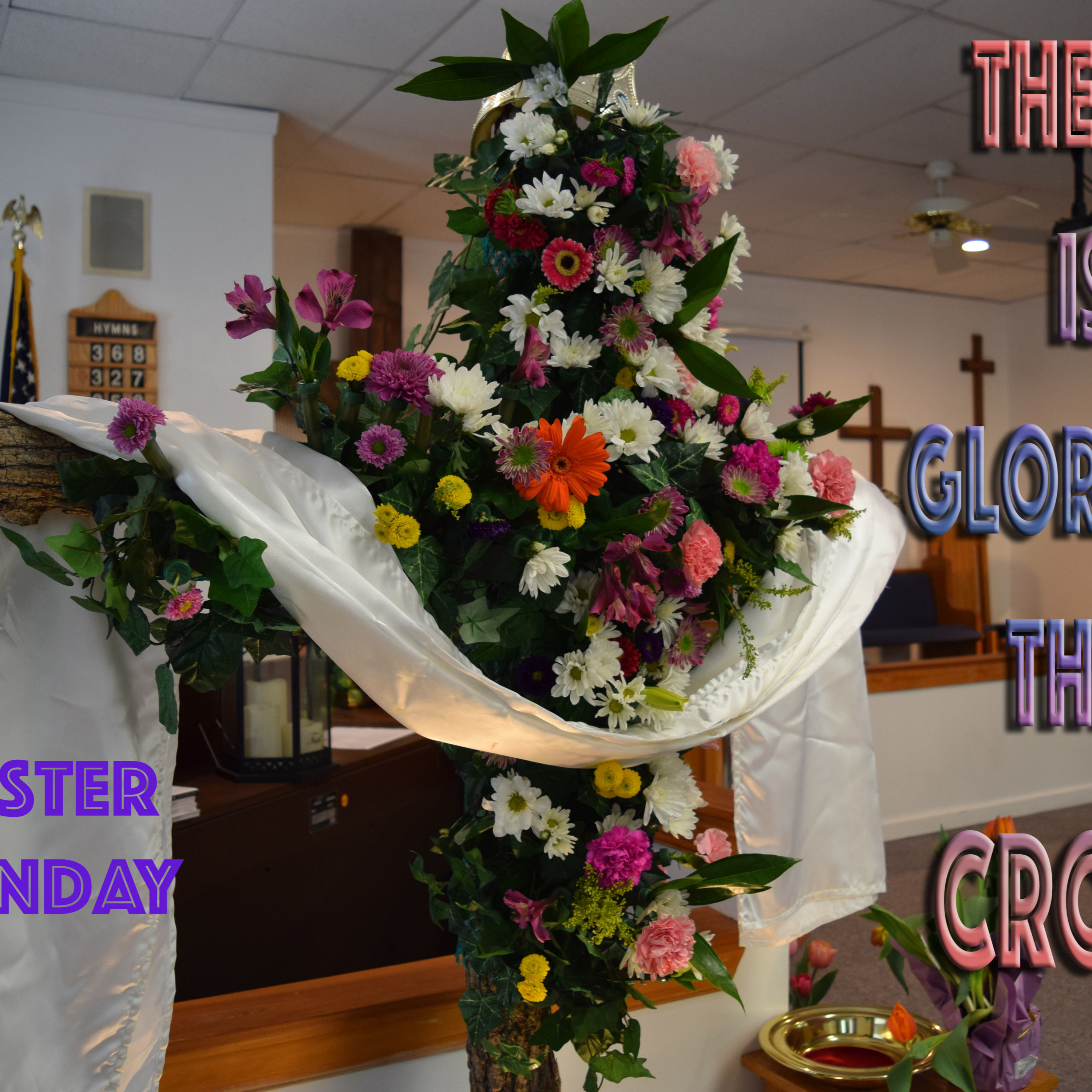 2019 Resurrection Sunday - A case for resurrection - you be the judge.