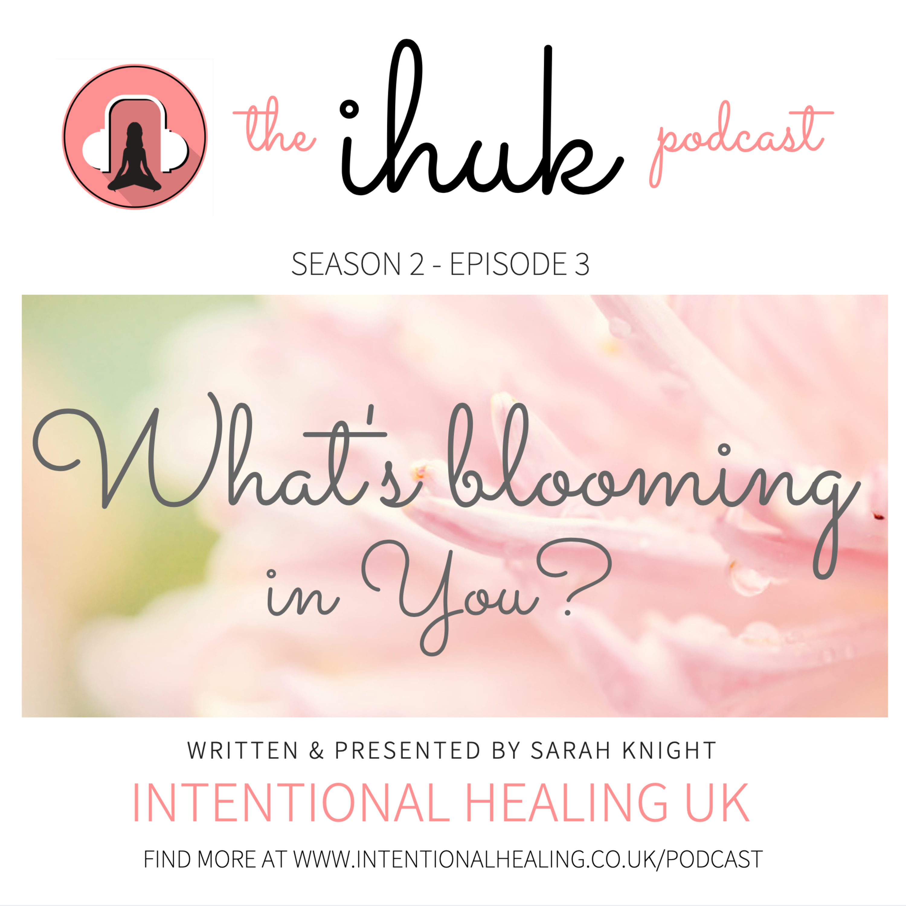 S2/Ep 03 - What's Blooming in You?