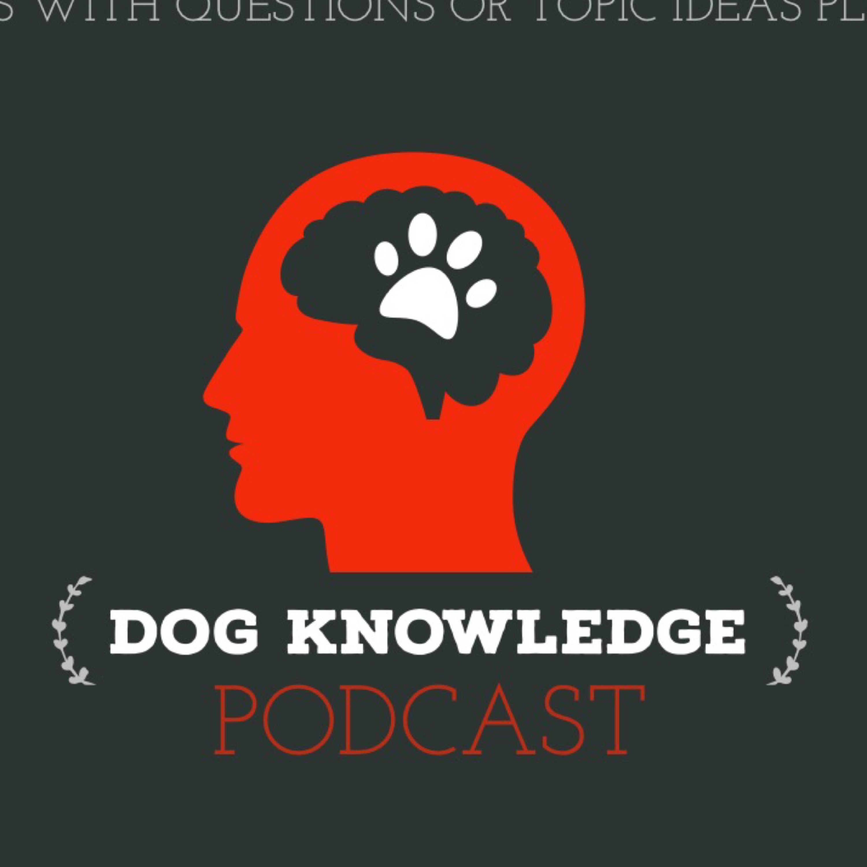 First episode: why reward-based training? First episode: why reward-based training?