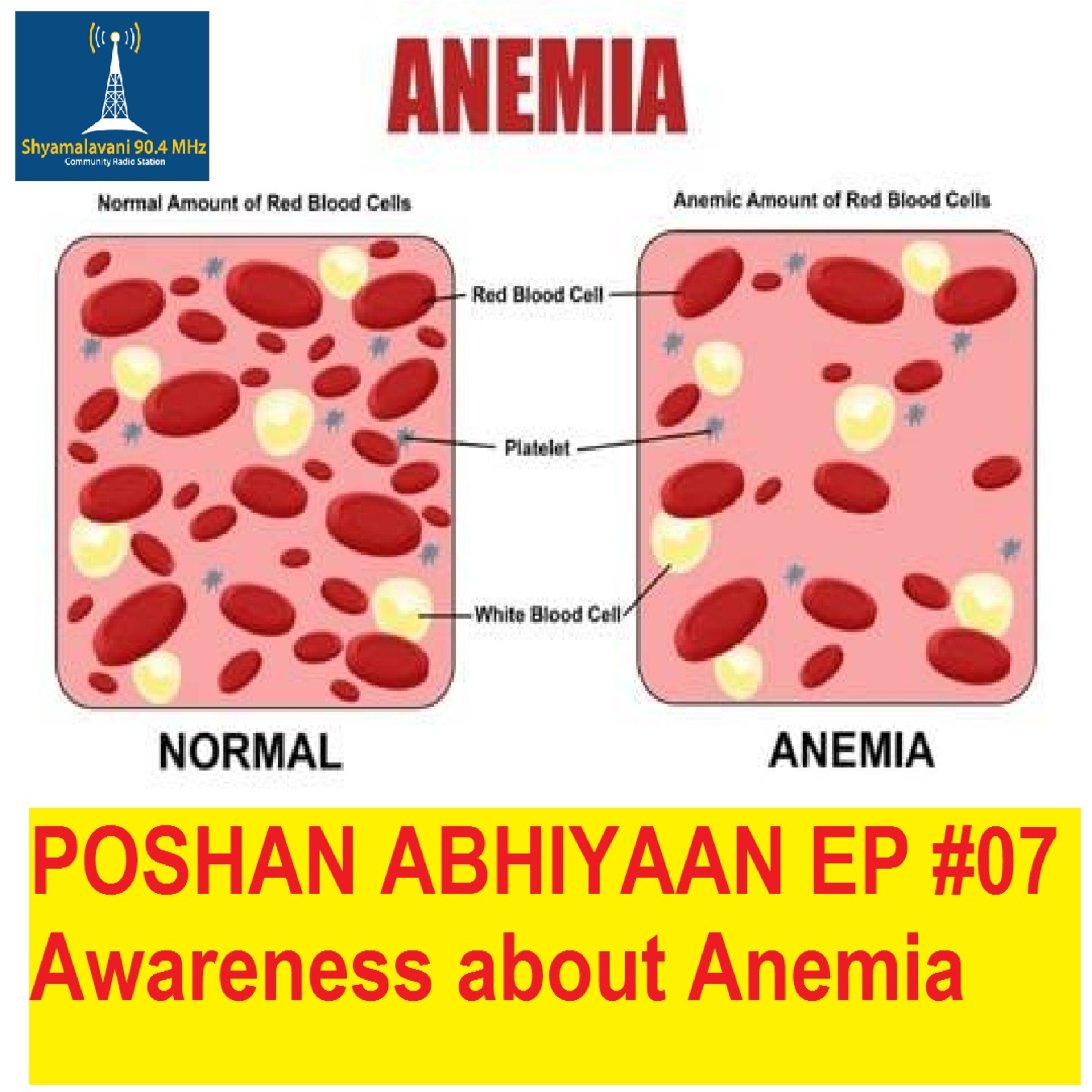 POSHAN ABHIYAAN EP #07 | Awareness about ANEMIA
