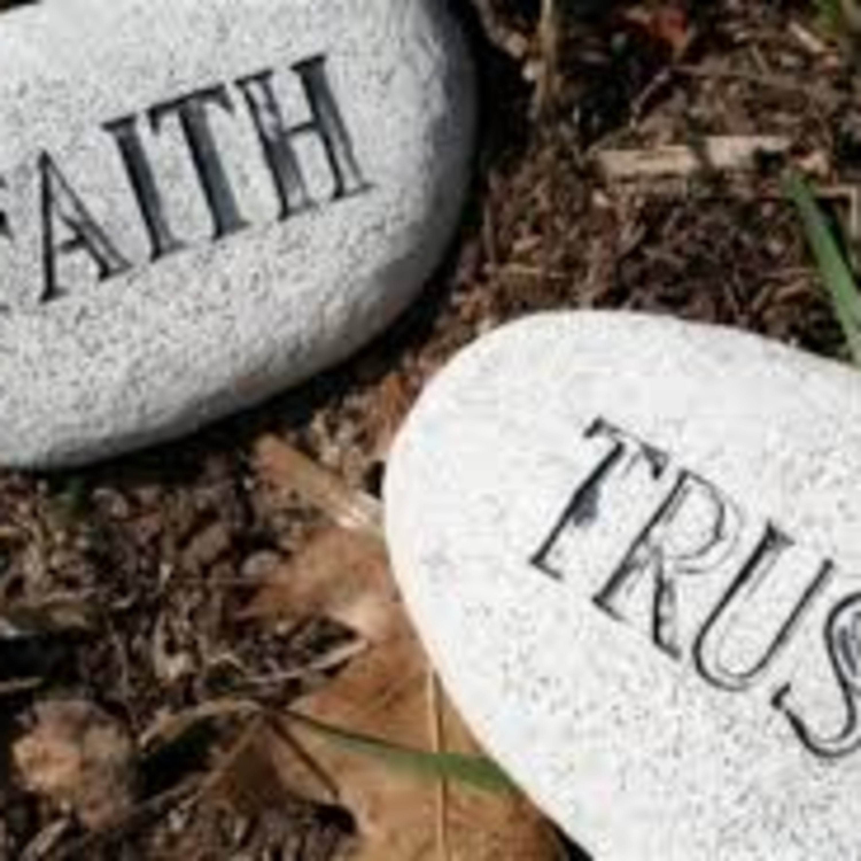 Faith & Trust wins all the way!