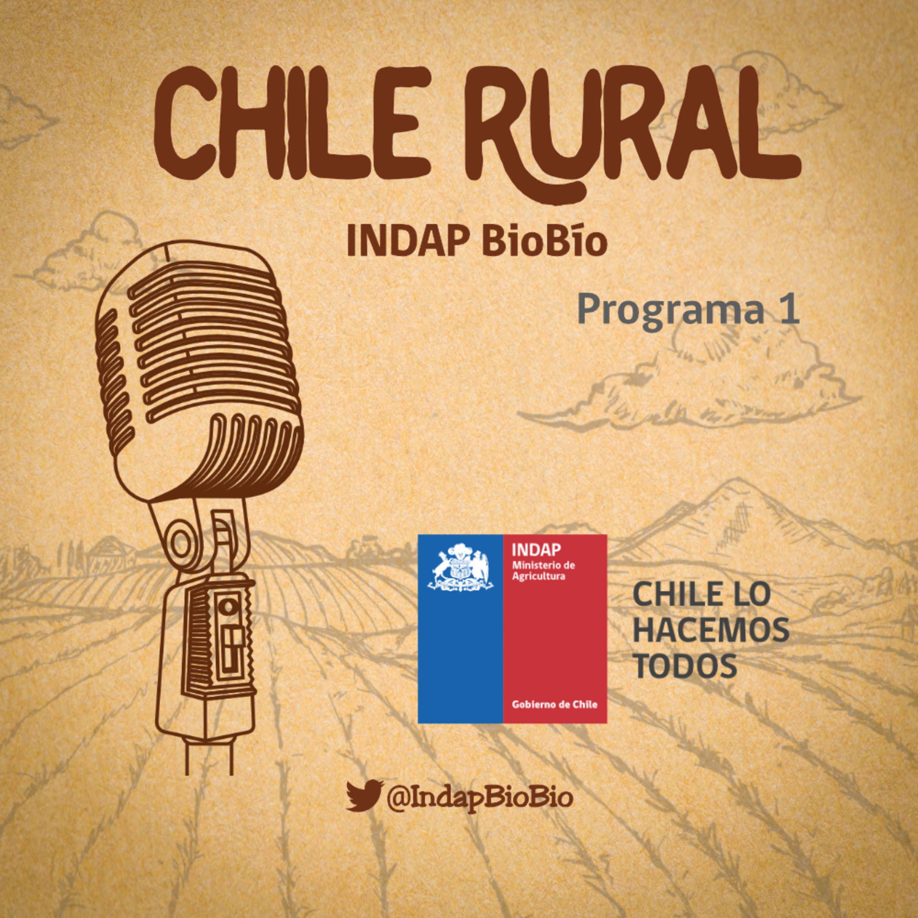 Chile Rural - Indap BioBío - Programa 1