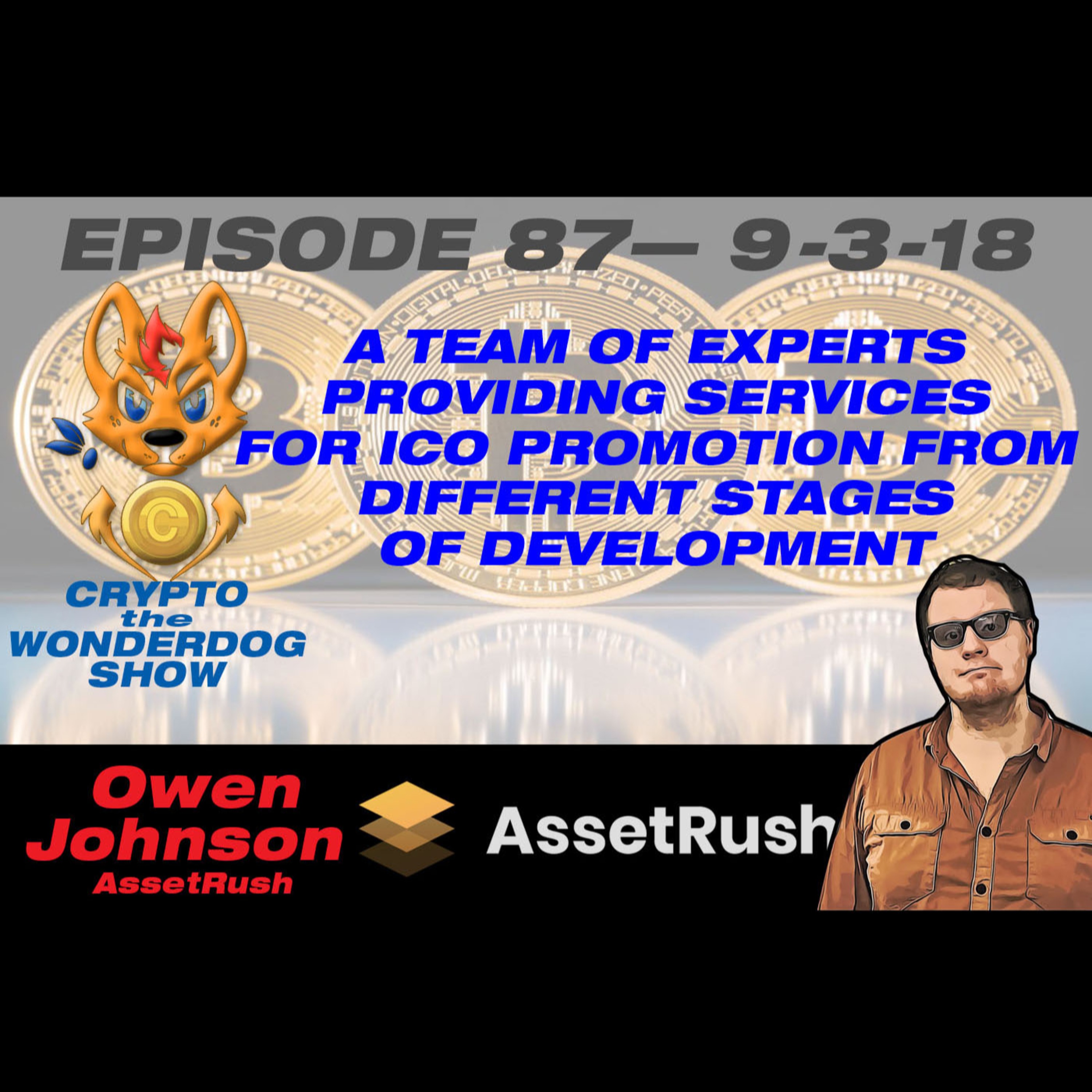 E87 - A team of experts providing services for ICO promotion from different stages of development. - AssetRush - The First Professional Token Promotion