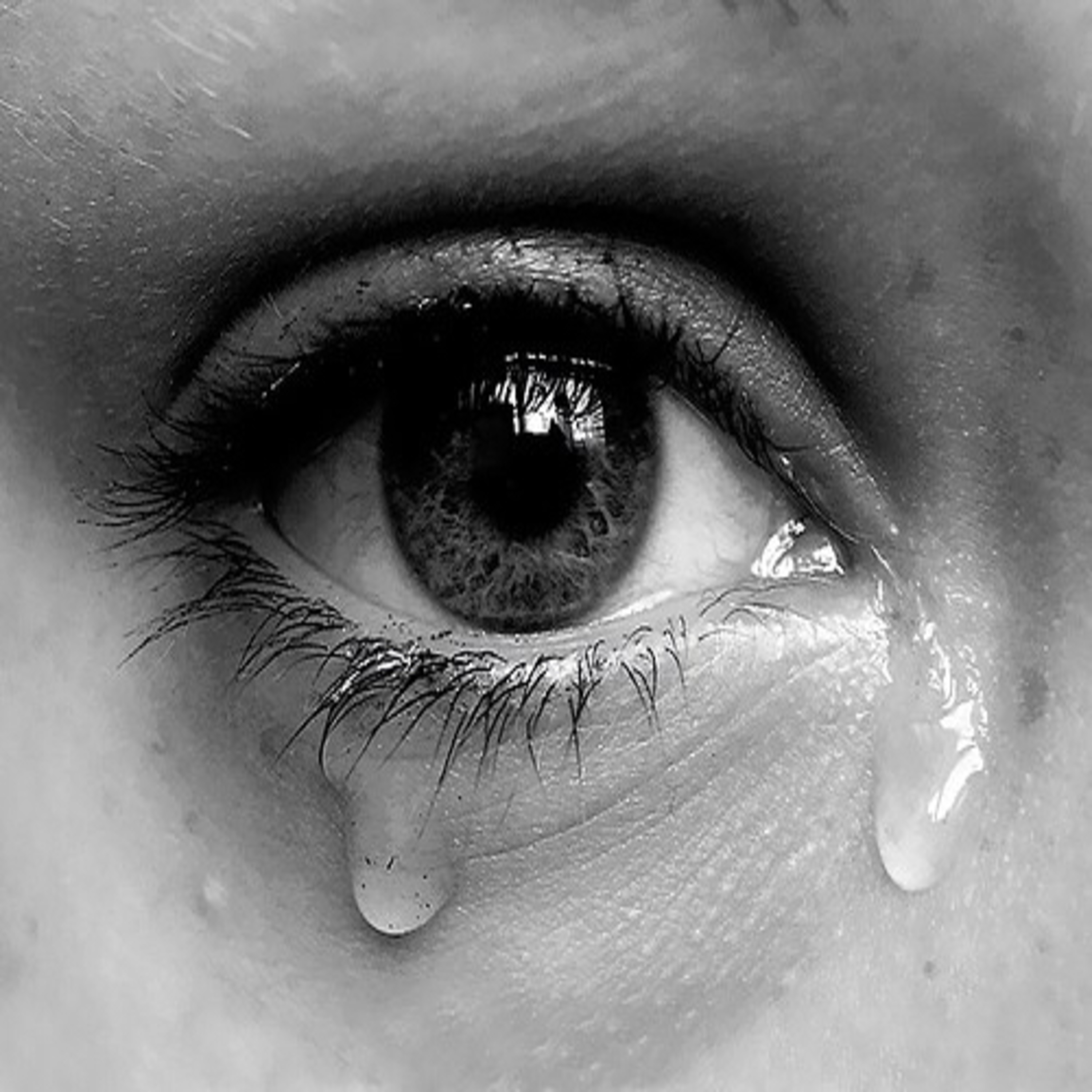 Verbal abuse, suicide attempt, and toxicity.