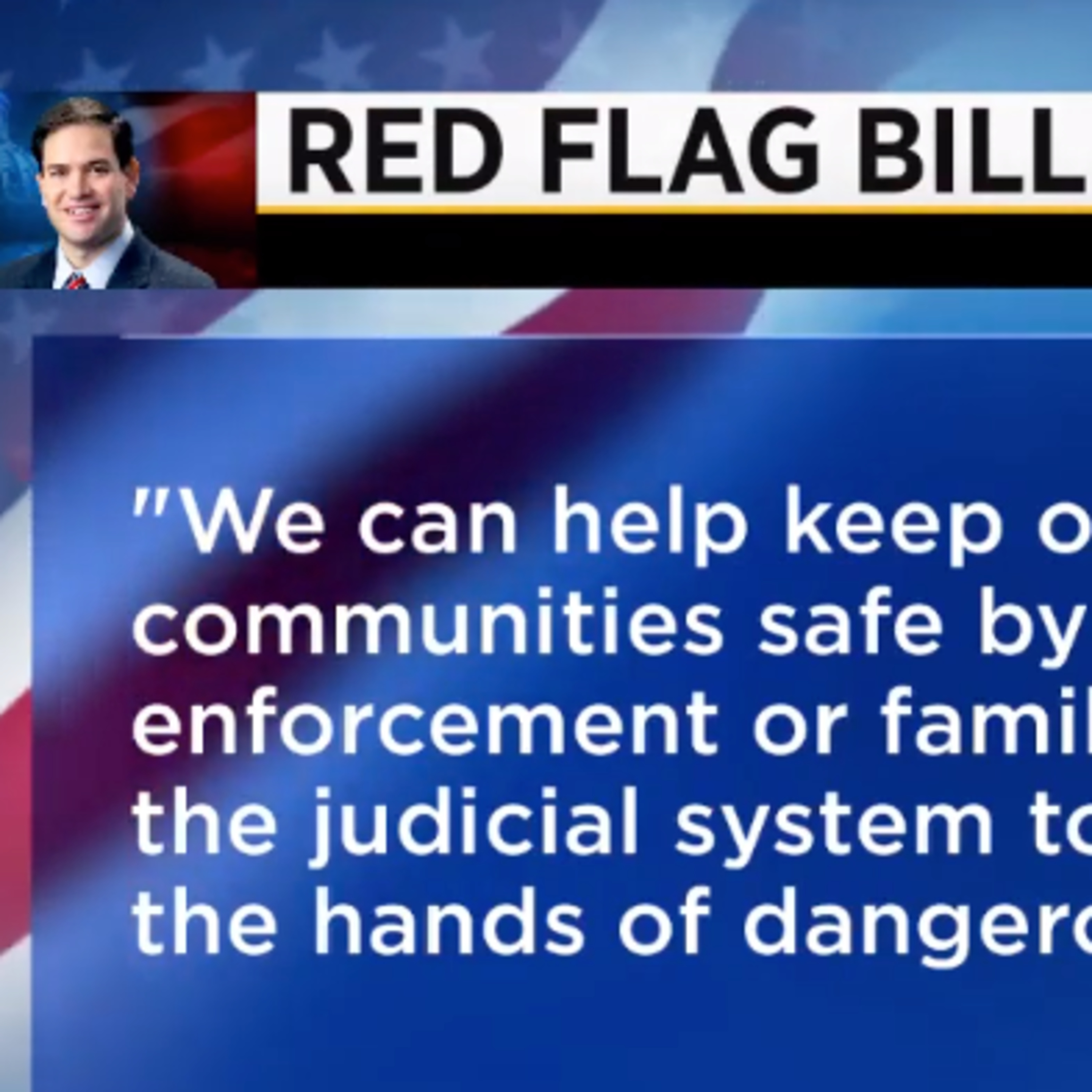 GOP Senator Introduces Bill Promoting Gun Confiscation