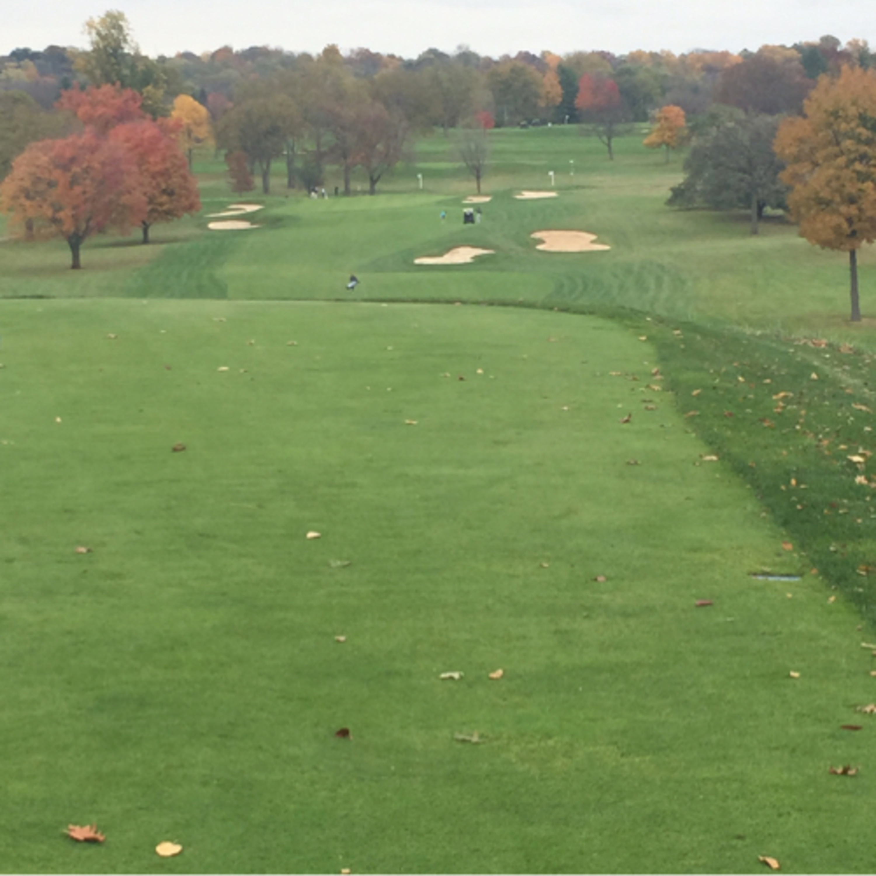 2019 Carson and Justin Golf Podcast