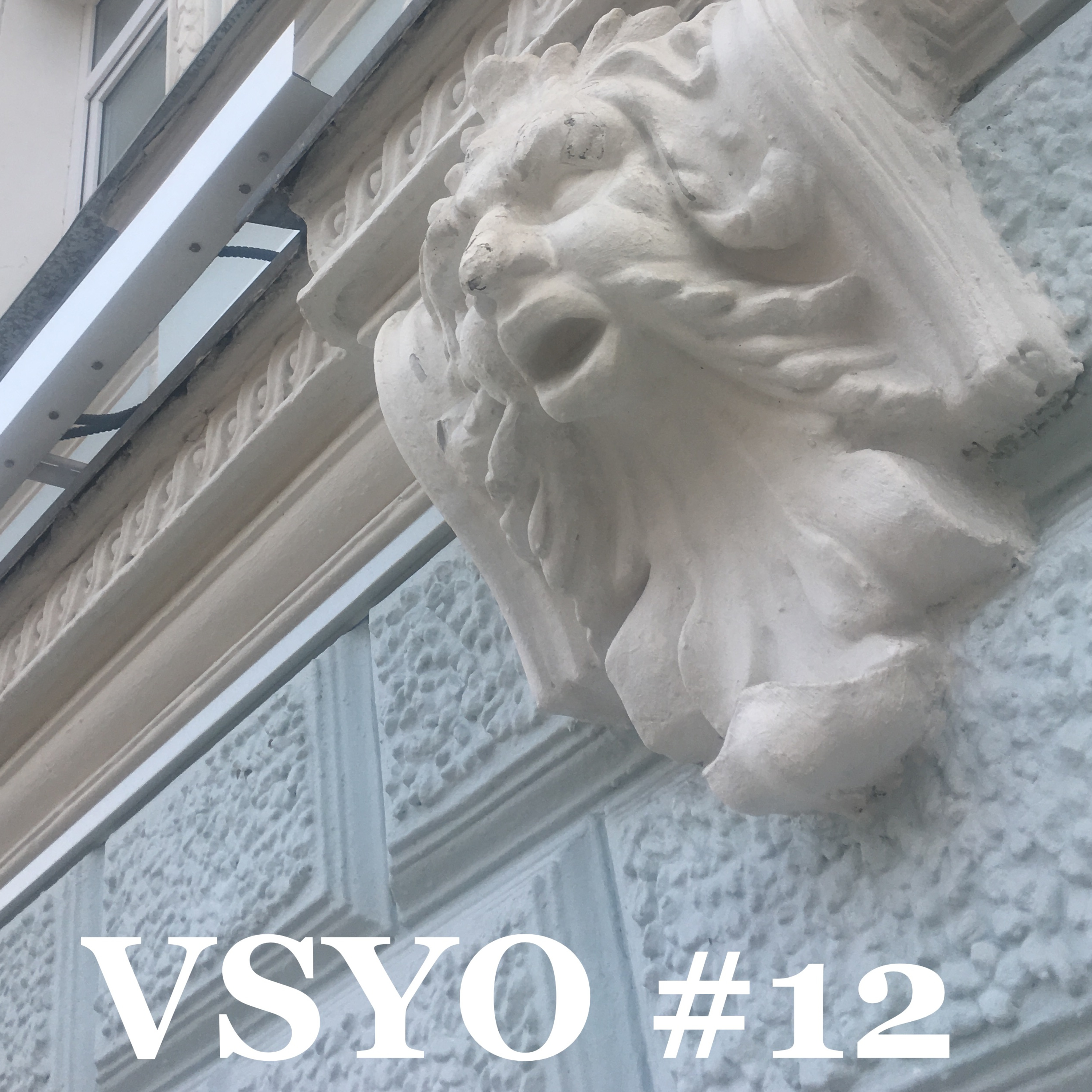 VeryShow, YO #12 Антон Шутов