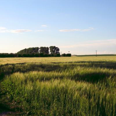 ‘Should we all be a little more selfish?’ | Student Nursing Times Article