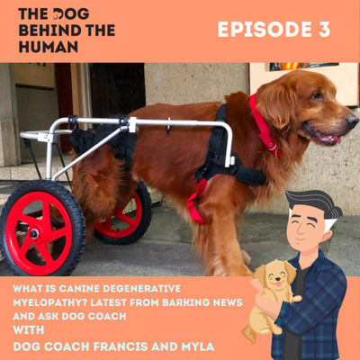 Ep. 3: What is Canine Degenerative Myelopathy? Latest from Barking news and Ask Dog Coach