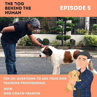 Ep. 5: Ten (10) Questions to Ask Your Dog Training Professional