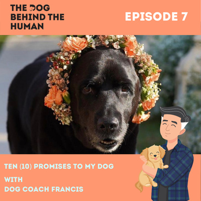 Ep. 7: Ten (10) Promises To My Dog