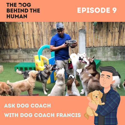 Ep. 9: Ask Dog Coach